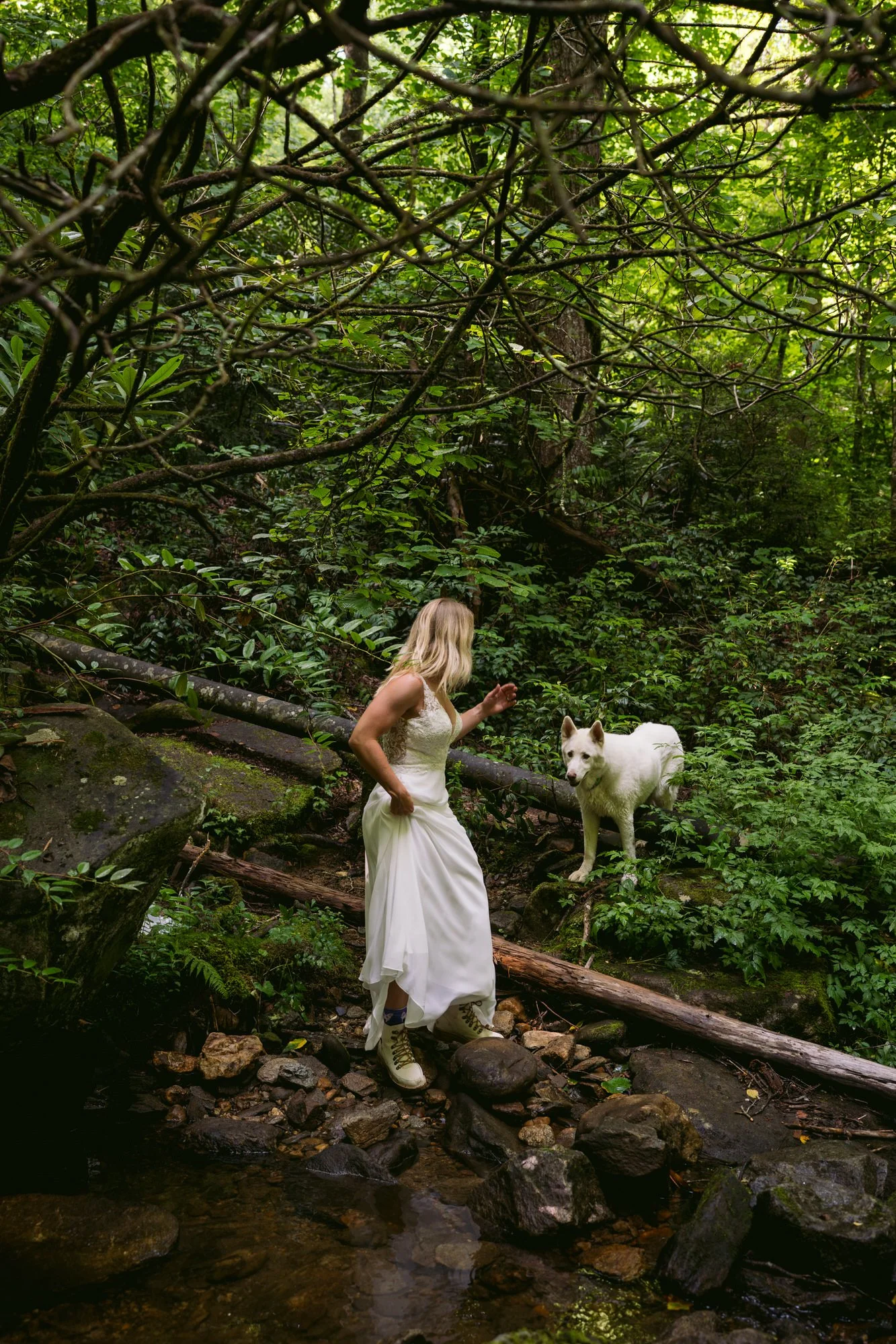 elopement Davidson river.jpg