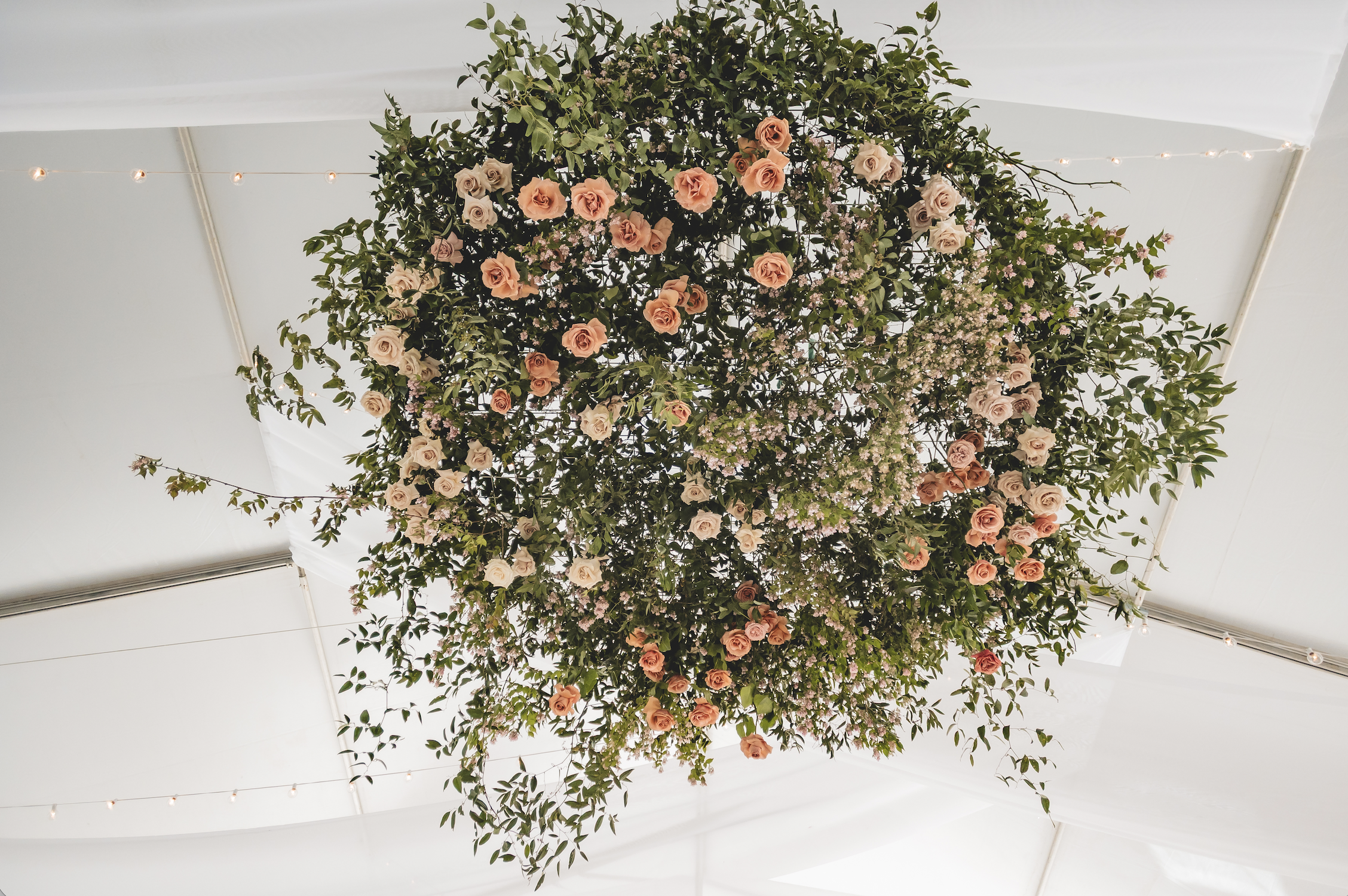 flora.png