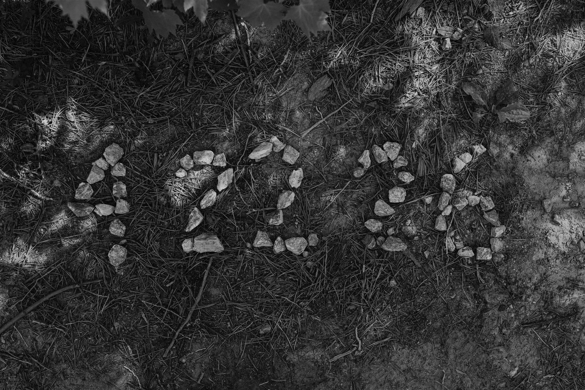 20260422-Bella-Kevin-Shortoff-1435_websize.jpg