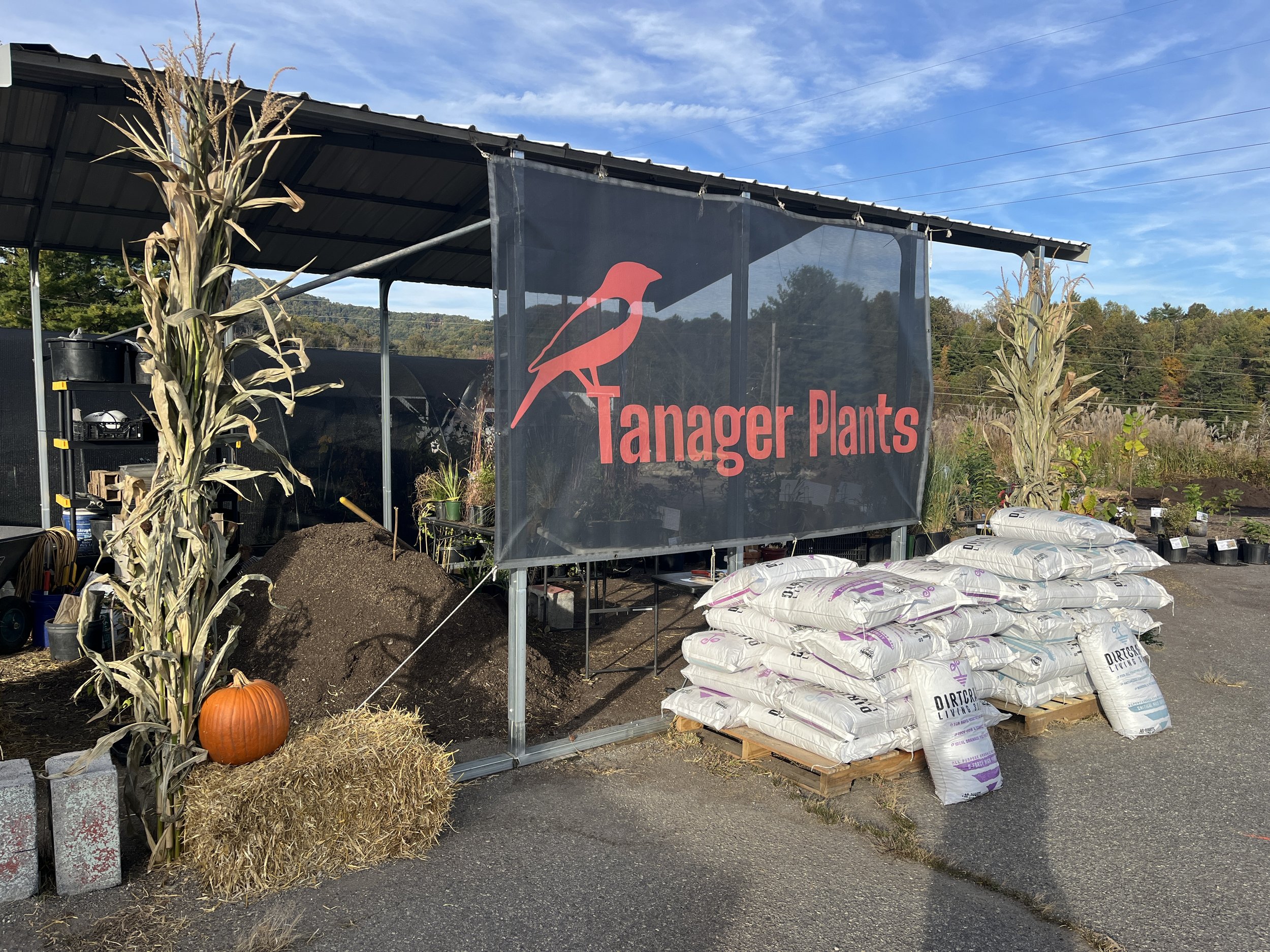 Tanager Plants Fall 2025 storefront photo.JPG