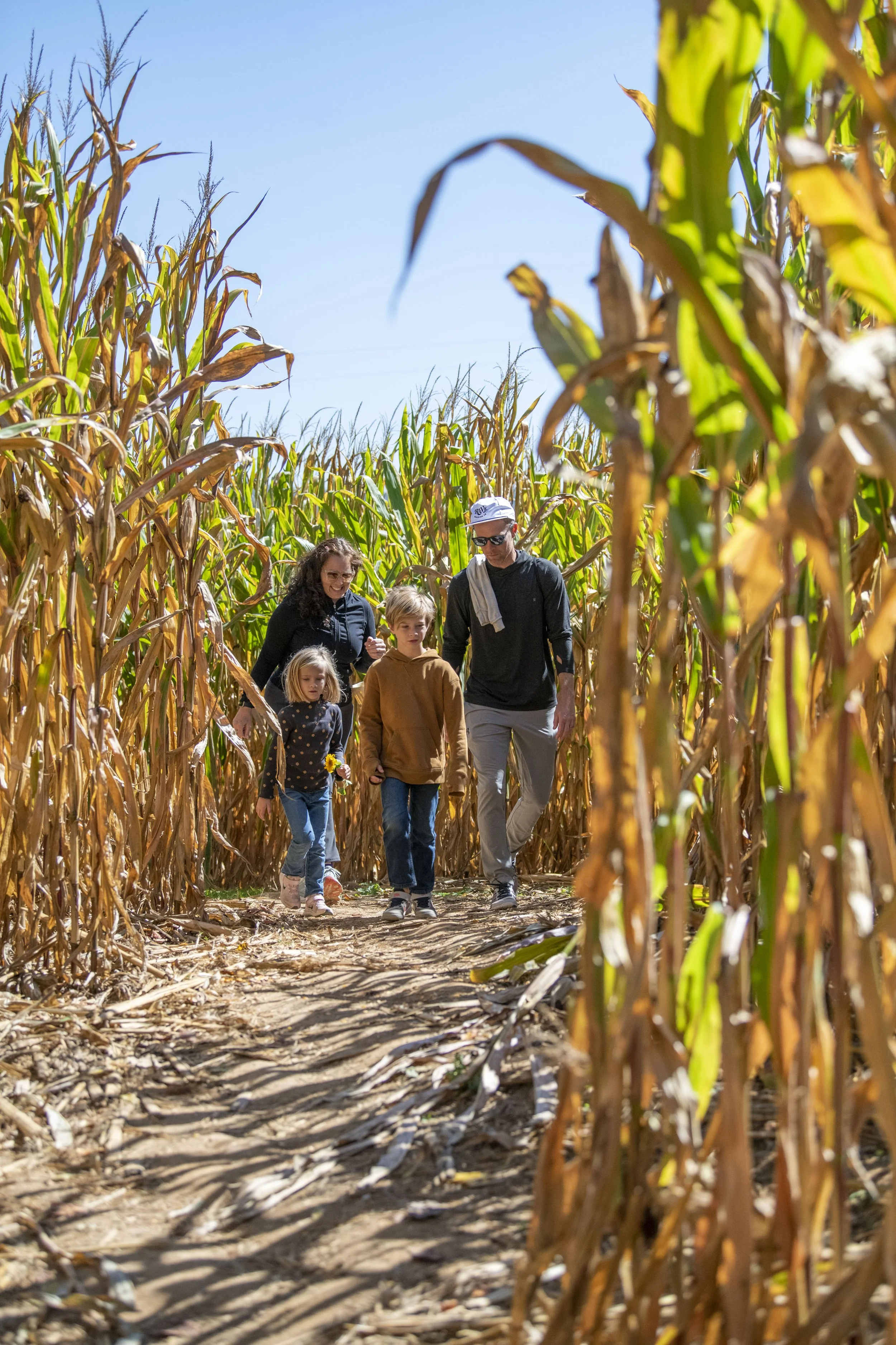 Corn Maze (1).JPG