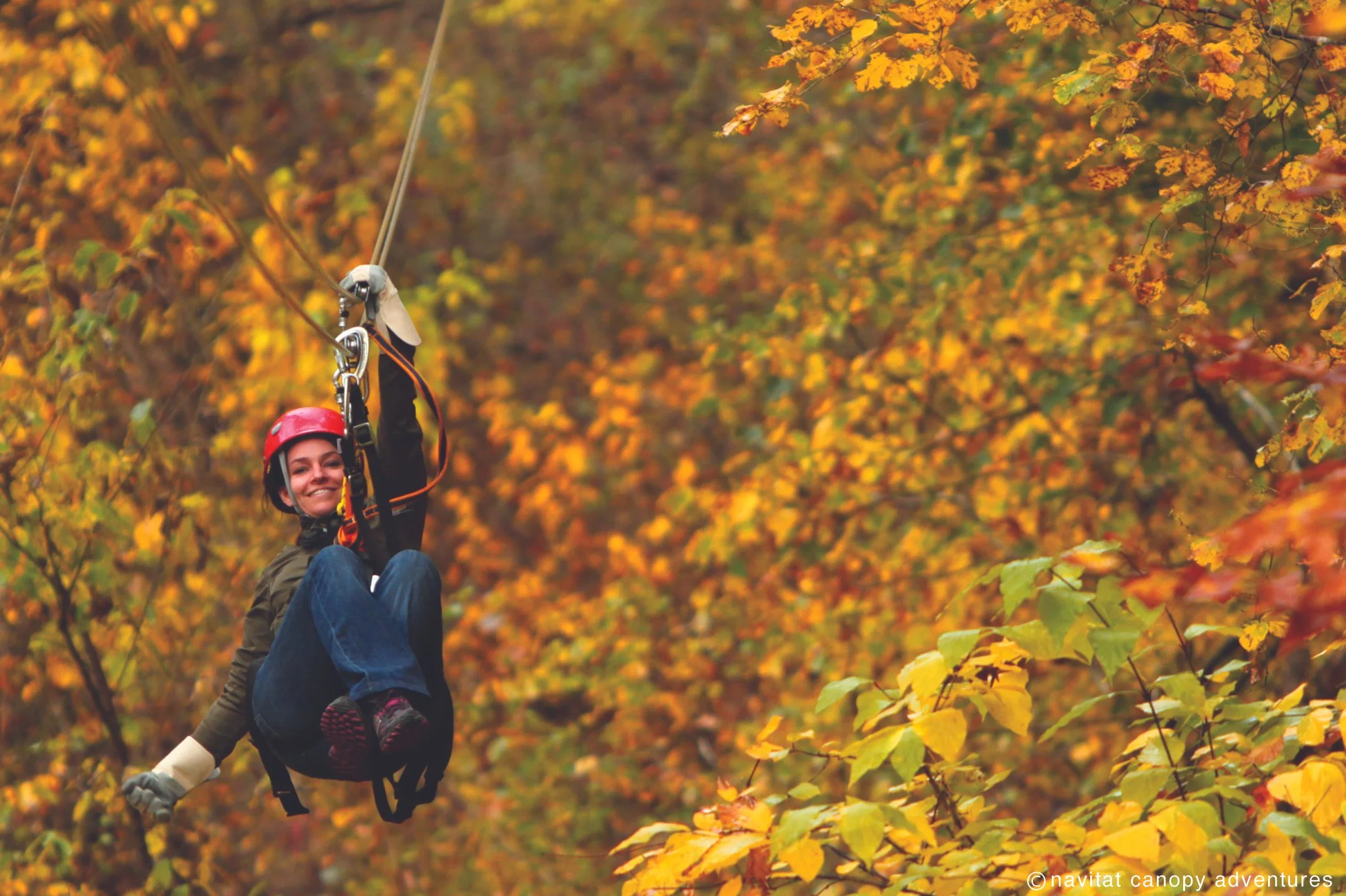 Navitat-Fall-Zipliner (1).jpg