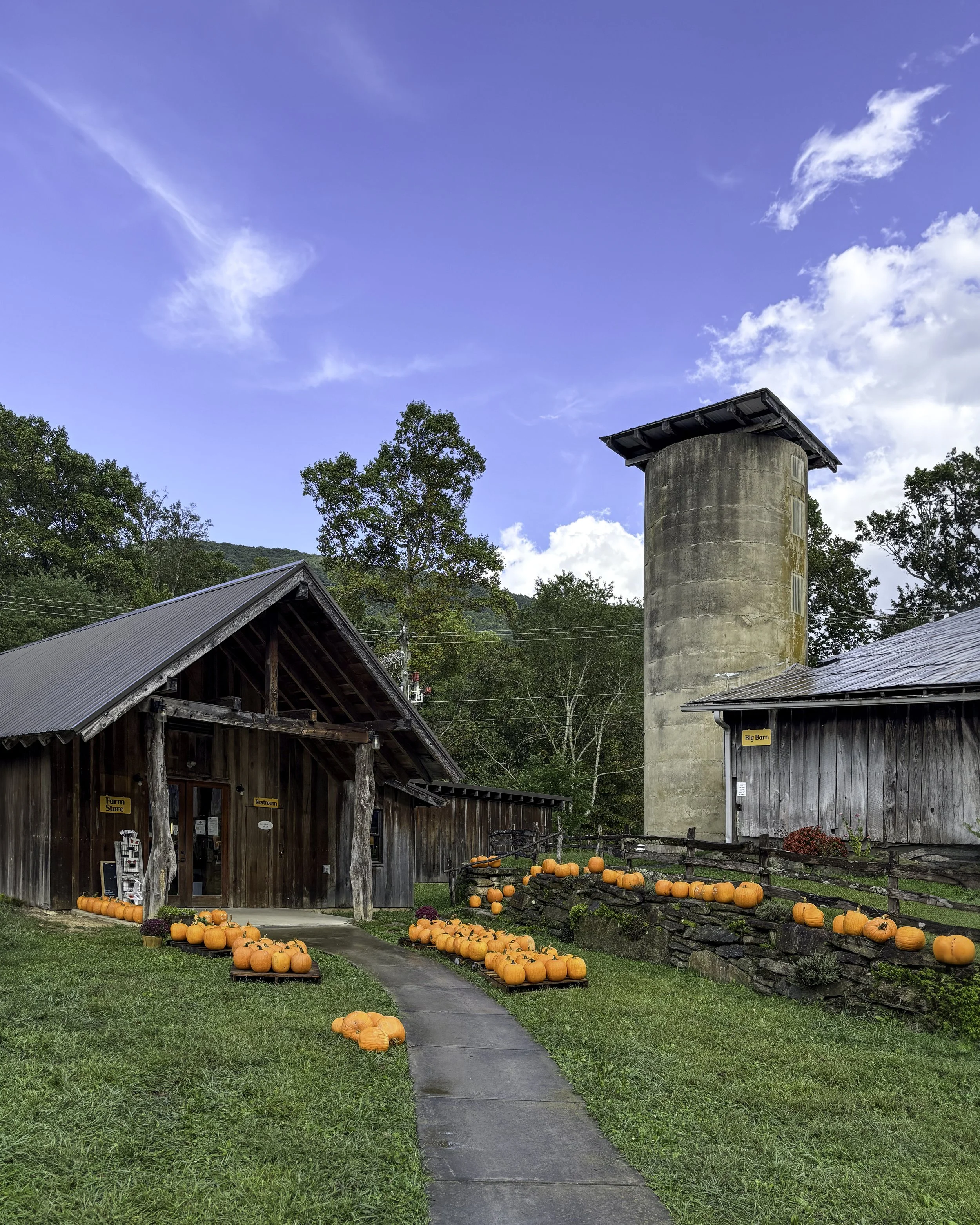 farm store pumpkins (1).jpg