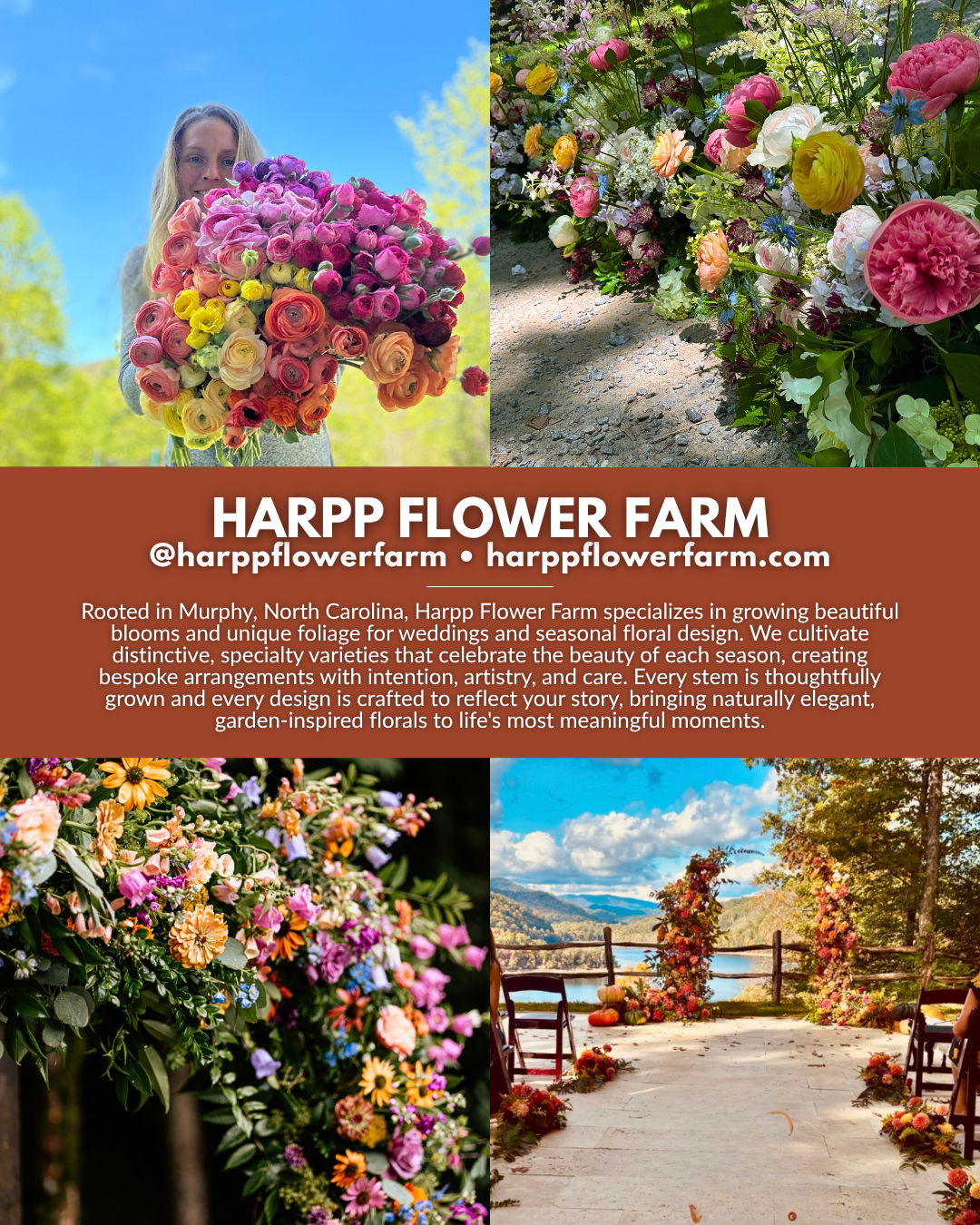 Harpp Flower Farm in Murphy, NC, featuring locally grown specialty flowers, colorful floral arrangements, and wedding florals in Western North Carolina.