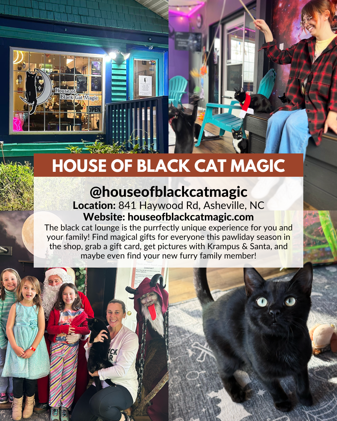 House of Black Cat Magic in Asheville offering a cat lounge experience, magical holiday gifts, adoptions, Krampus and Santa photos, and gift cards.