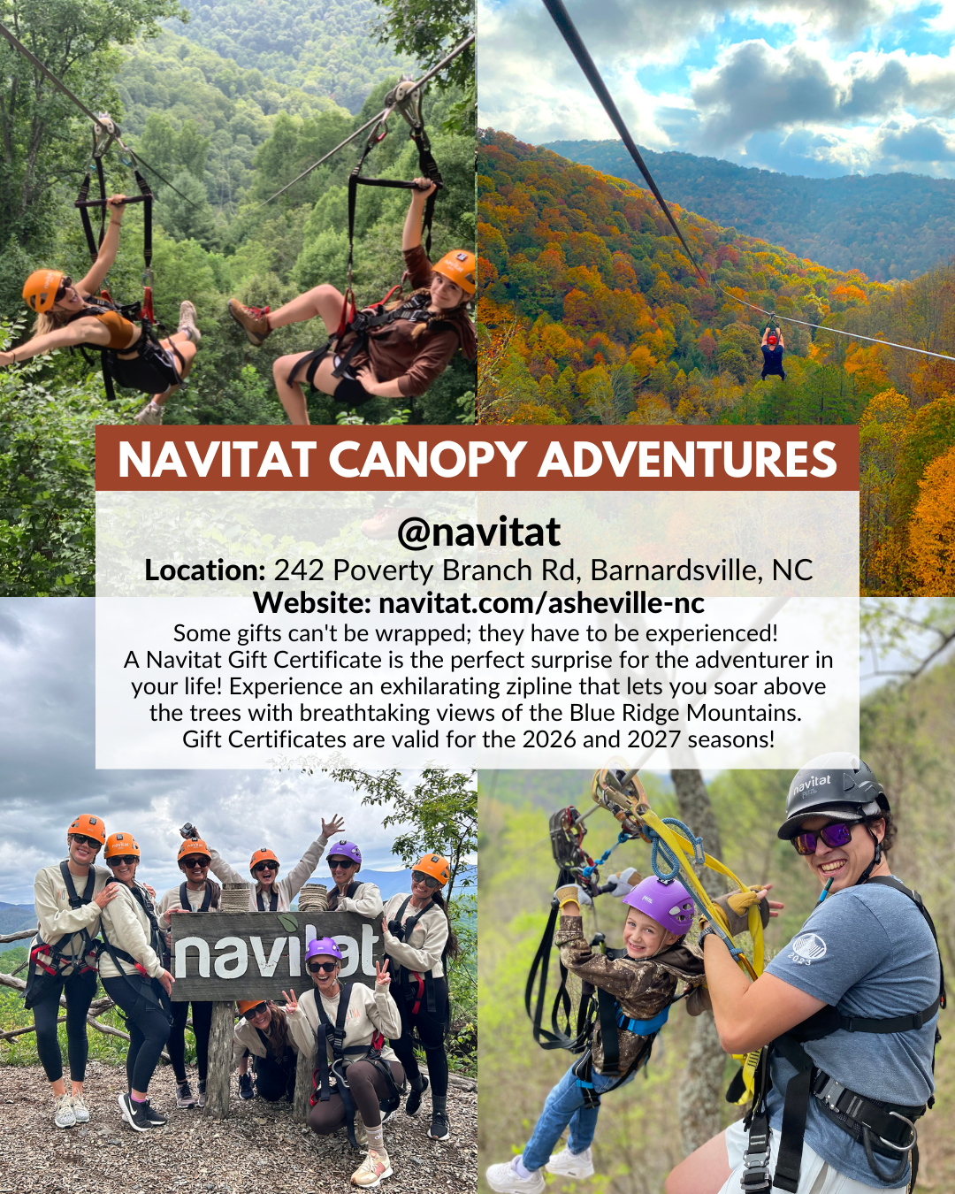Navitat Canopy Adventures near Asheville offering world-class zipline tours, mountaintop lines, and holiday adventure gift cards.