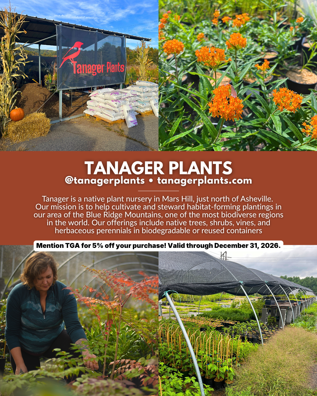 Tanager Plants, a native plant nursery in Mars Hill near Asheville, NC, offering native trees, shrubs, vines, and perennial plants for Western North Carolina gardens.