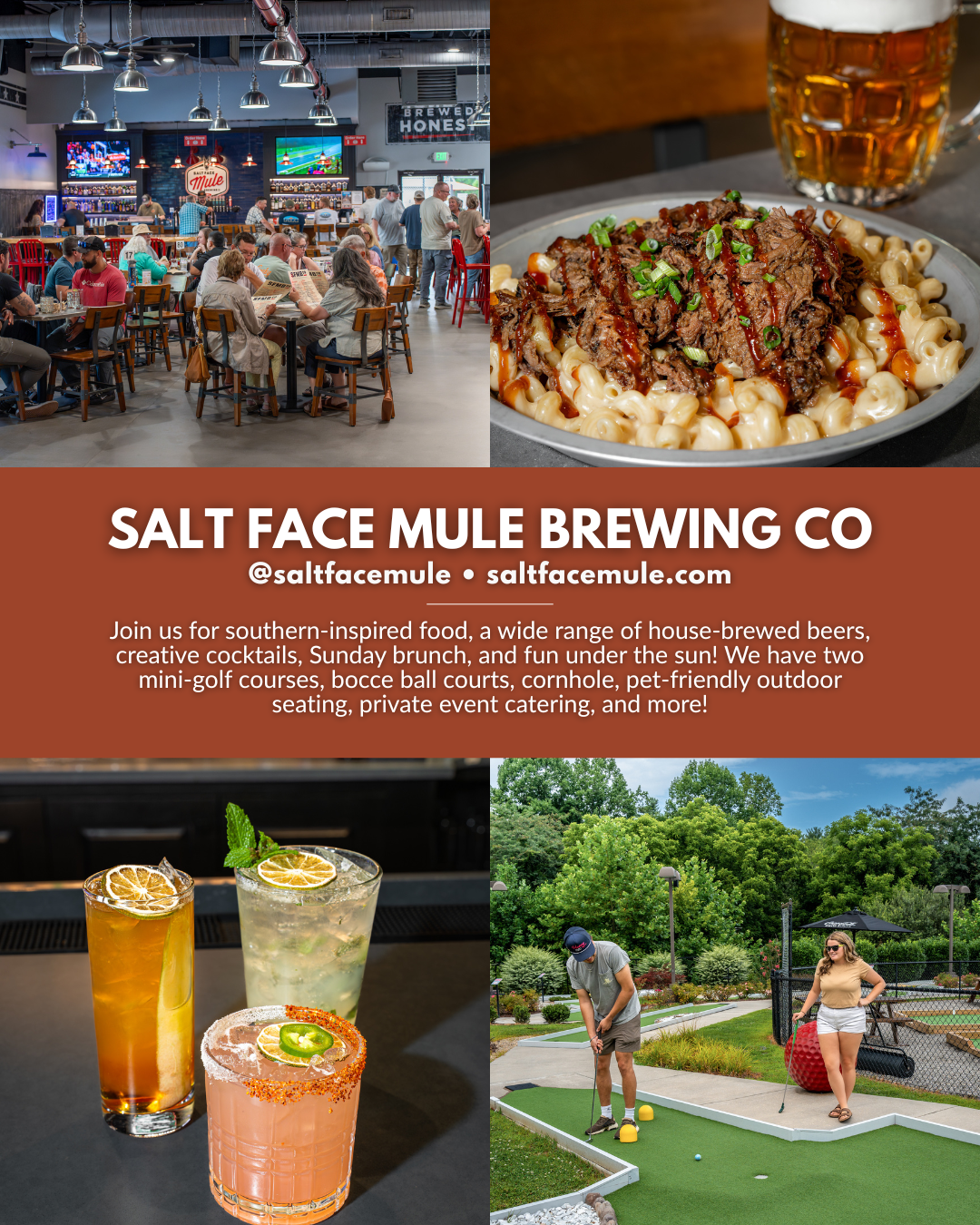 Salt Face Mule Brewing Co near Asheville NC with house-brewed beers, southern-inspired food, cocktails, Sunday brunch, mini golf, bocce ball, cornhole, and pet-friendly outdoor seating.