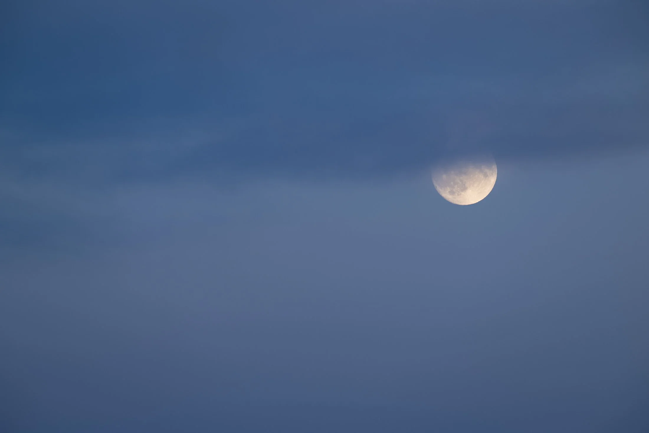 NZ9_3273.jpg