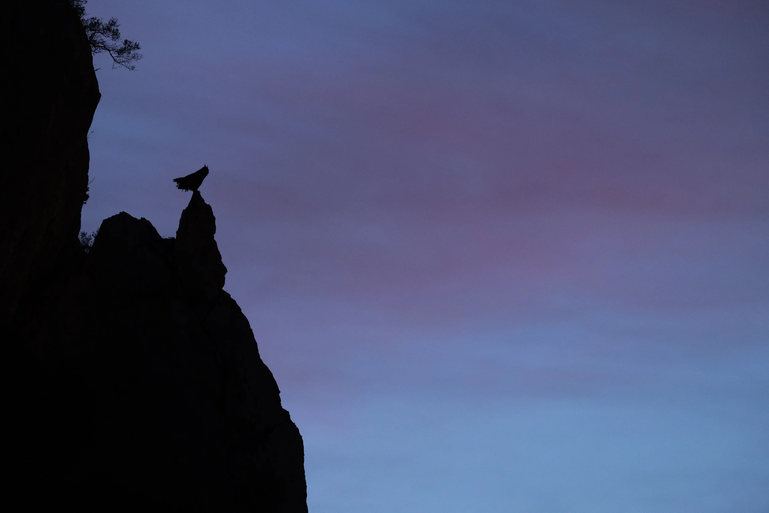 NZ9_3006-Edit.jpg
