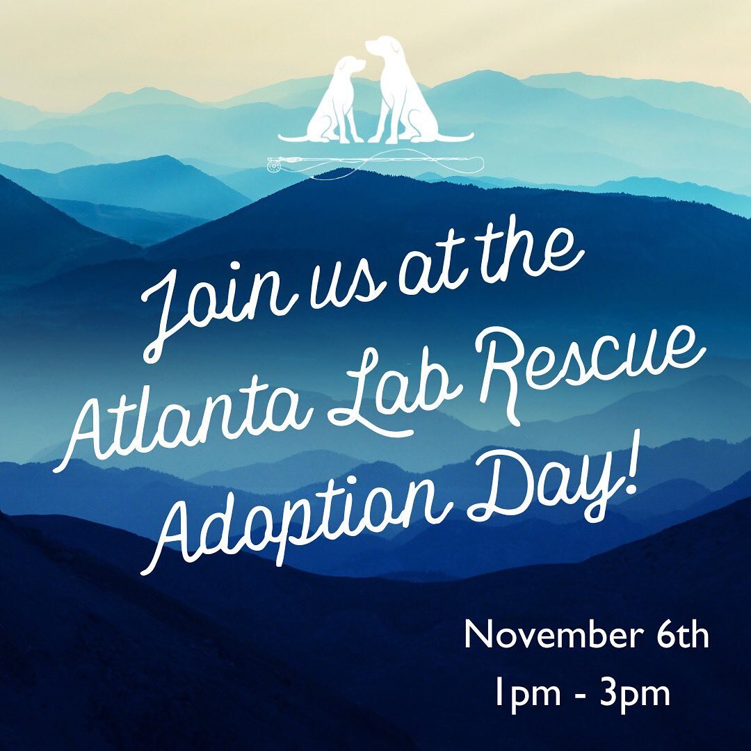 Come see us today at the @atlantalabrescue&rsquo;s Adoption Day from 1-3pm at #PetSmart Buckhead- 3221 Peachtree Road, Atlanta, GA 30305🐶 I&rsquo;ll be there with Jack, Ted, Dakota and Dash! They&rsquo;re great pups who have either gone through or a