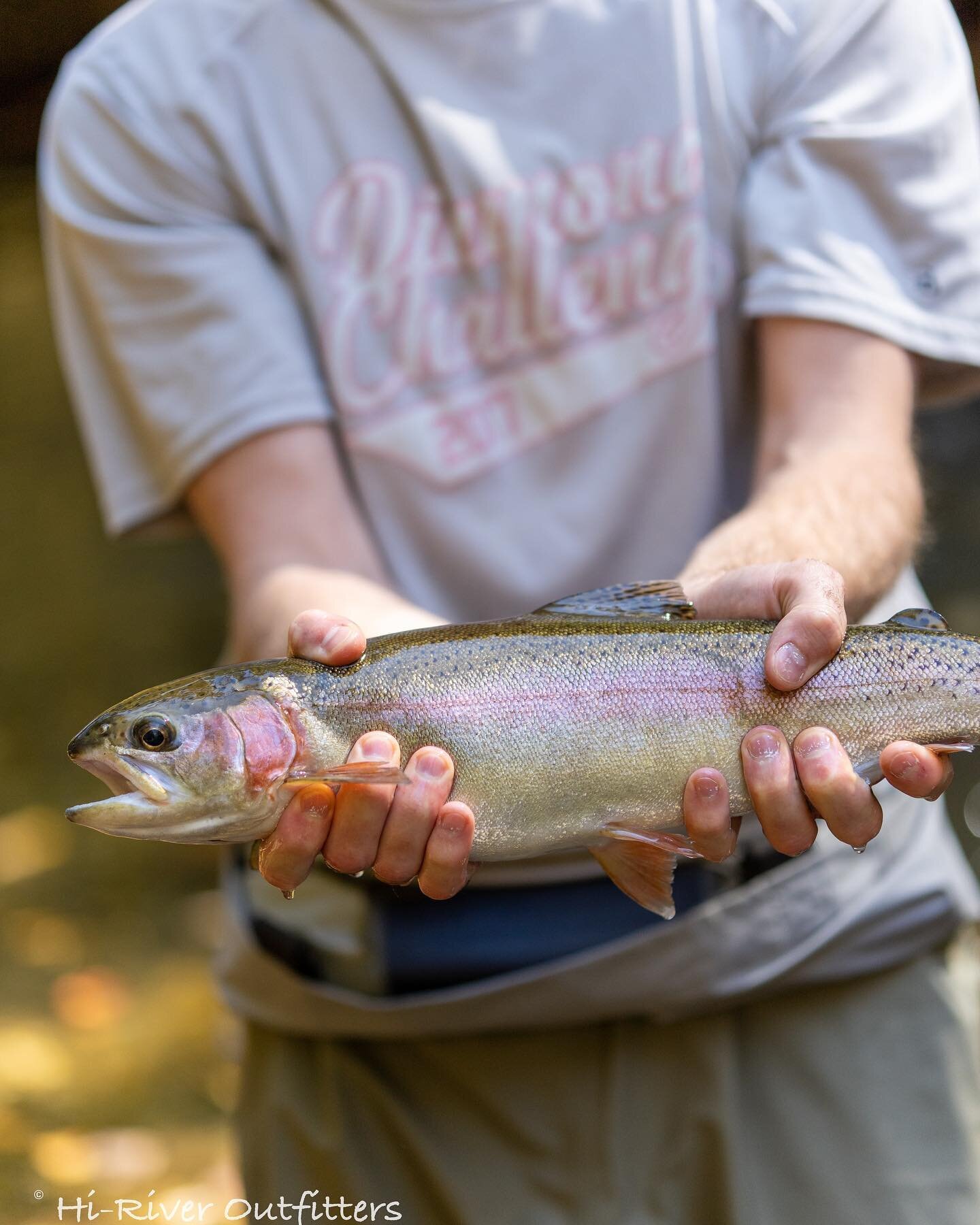 Still trying to find the perfect Christmas gift?🎁 A guided fishing trip in north GA would be the perfect gift for the adventurer in your life!

Hot lunch included on full day trips. No prior experience needed. Book today or purchase a gift certifica