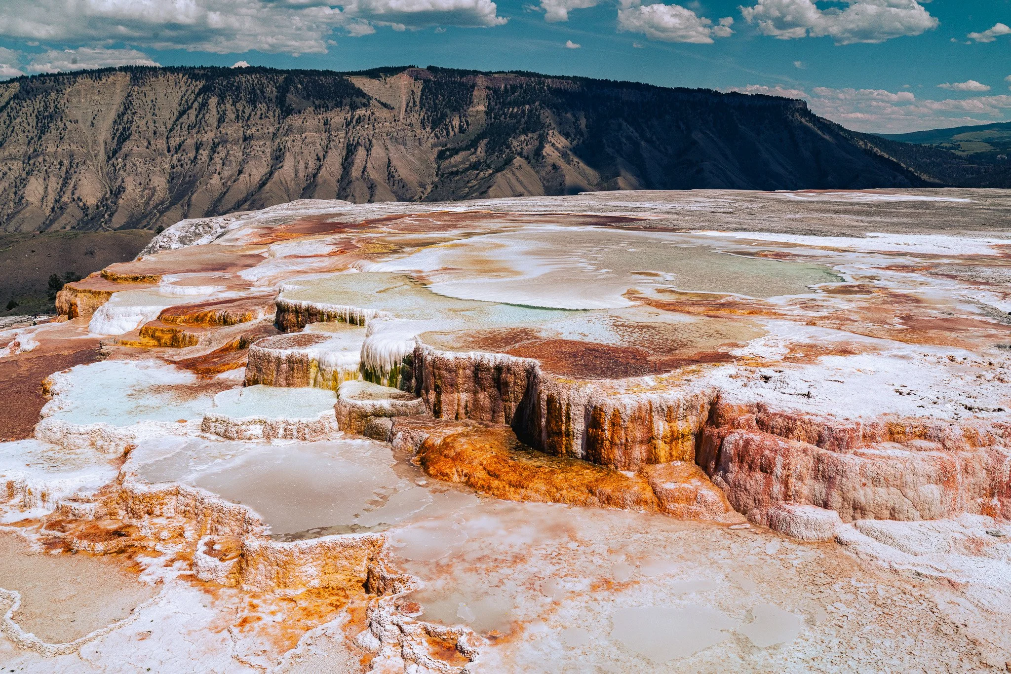 Buffaloroamtours-9.jpg