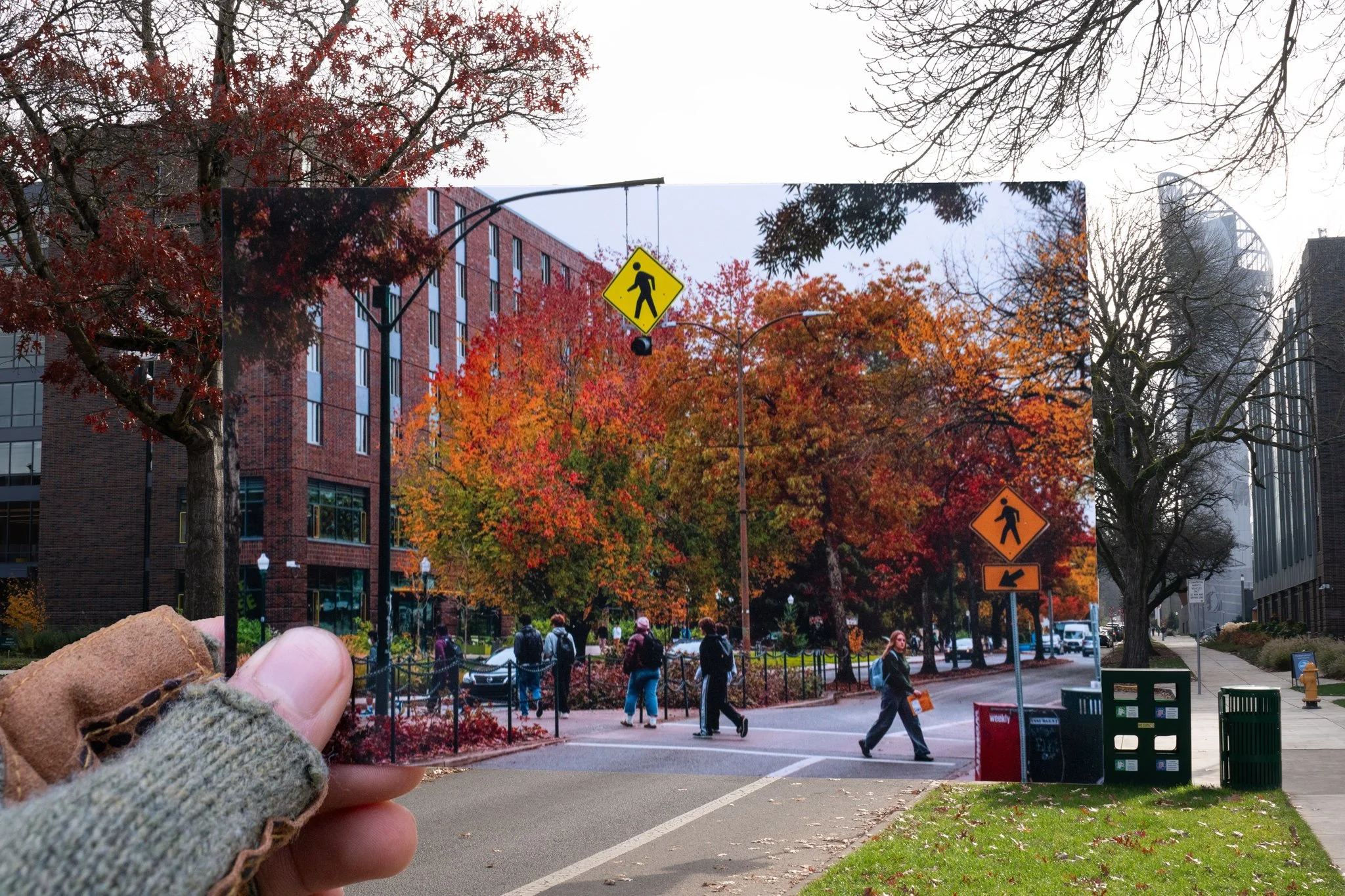 241125-Photo Series-069.jpg