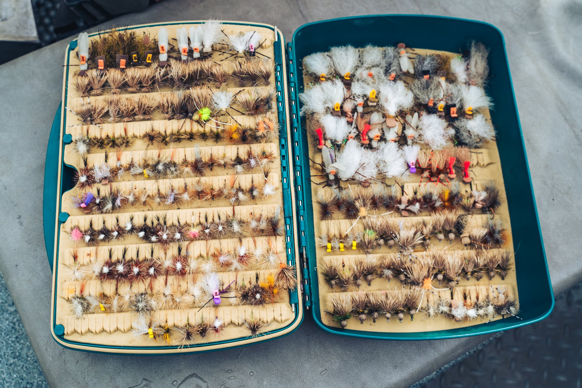 flies-flybox-lures-patterns-flyfishing .jpg
