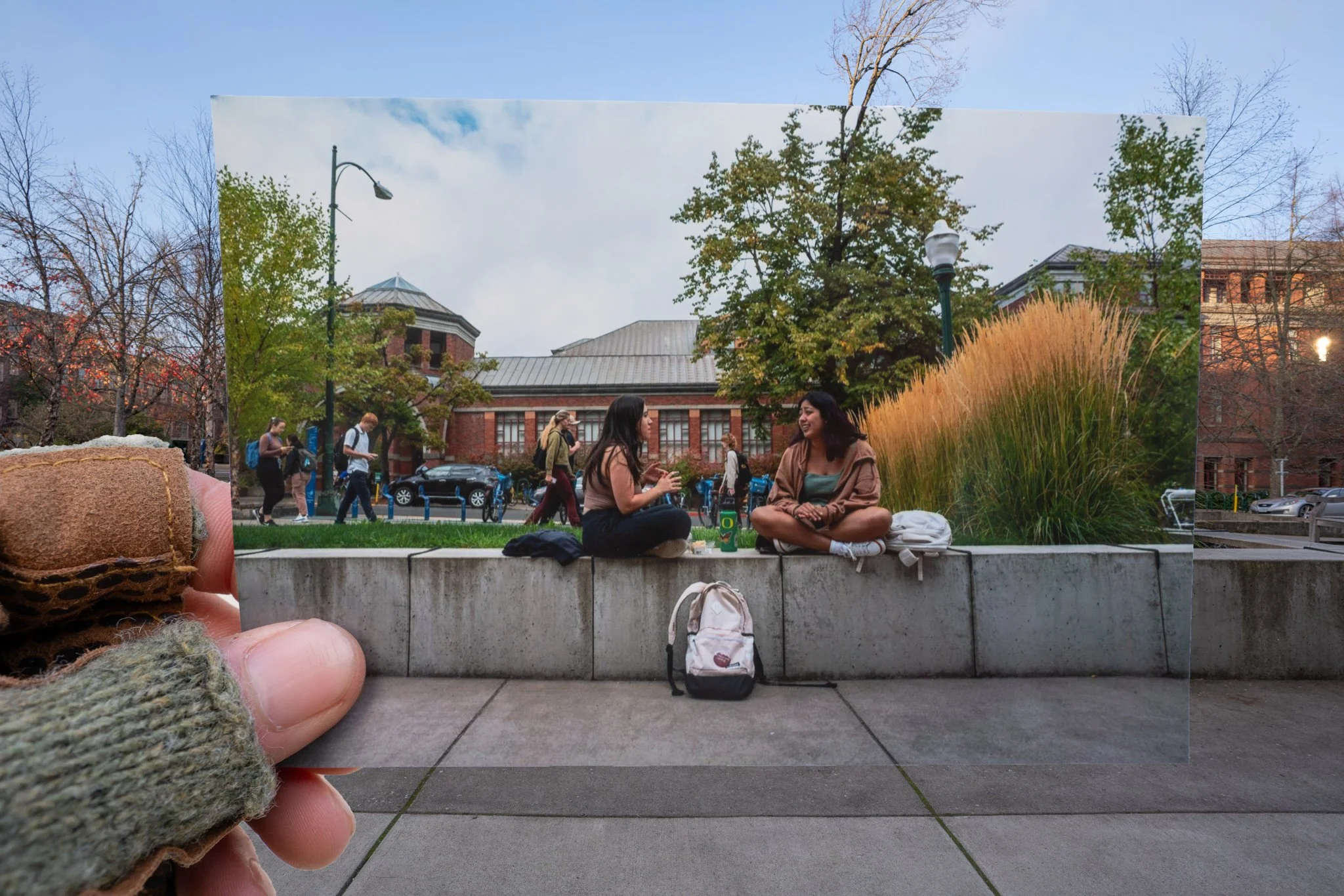 241125-Photo Series-052.jpg