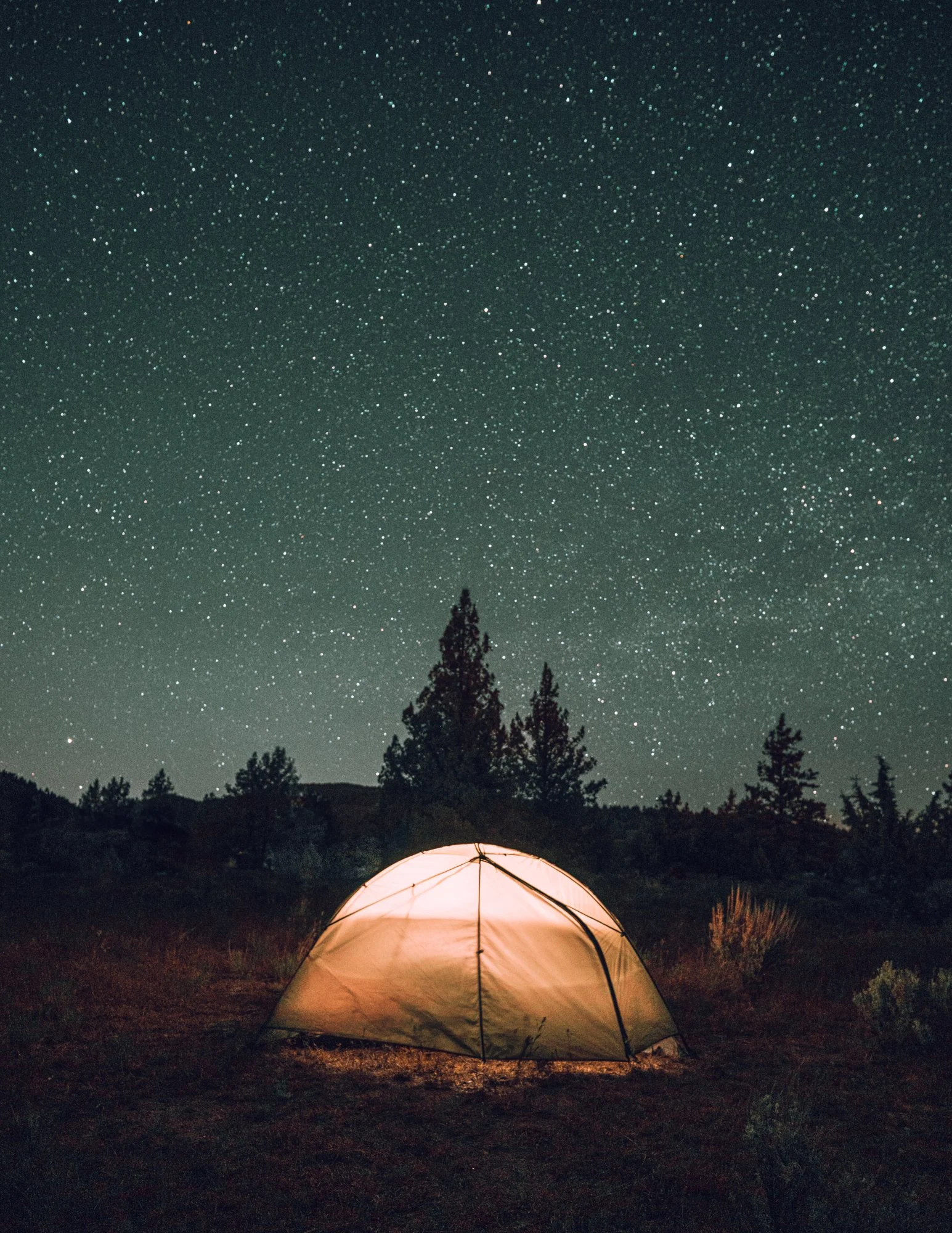 stars-camping-nightsky.jpg
