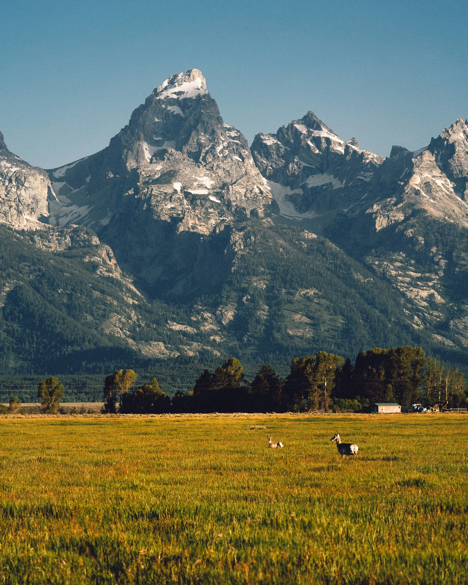 Buffaloroamtours-13.jpg