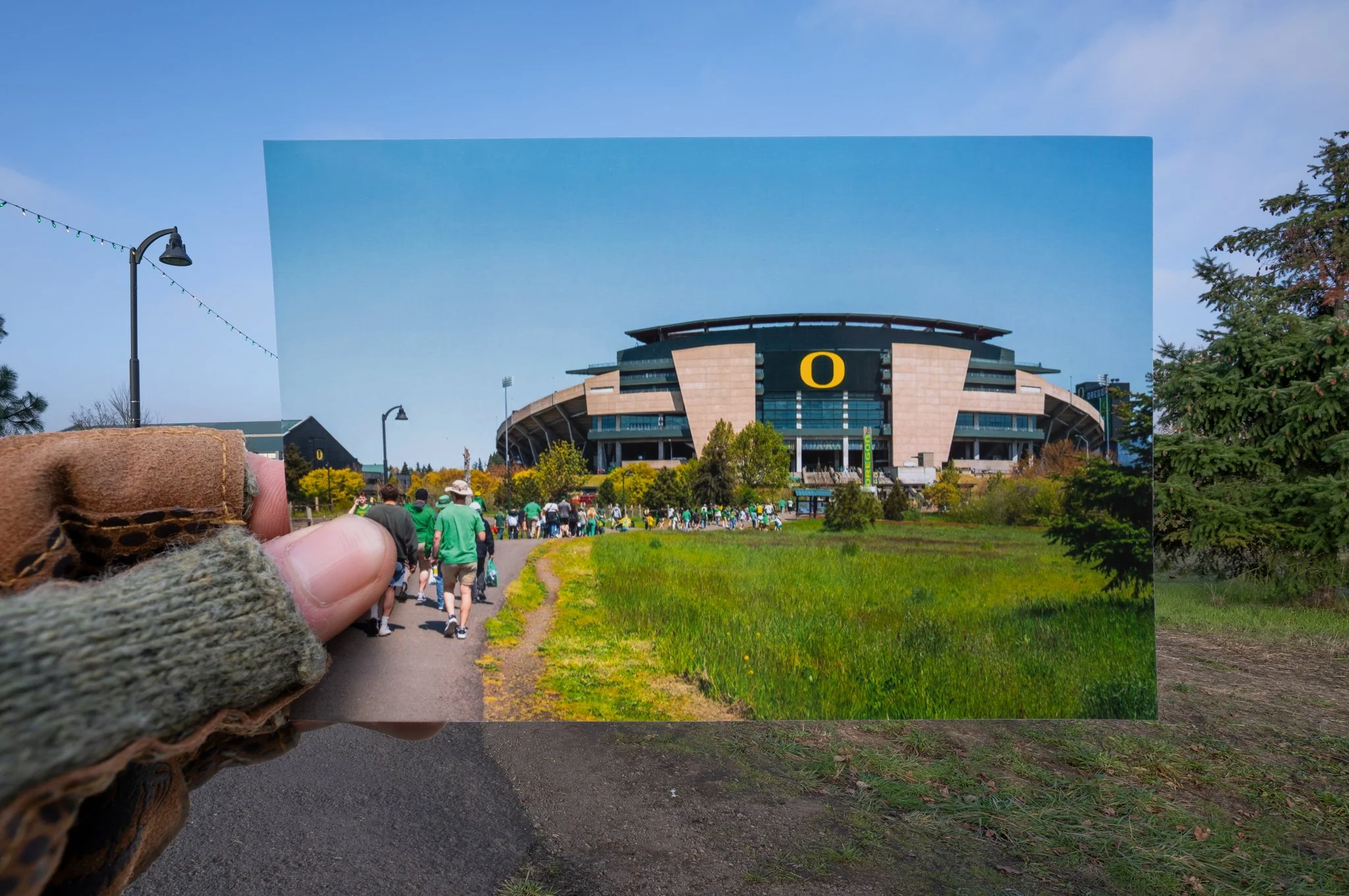 241125-Photo Series-067.jpg