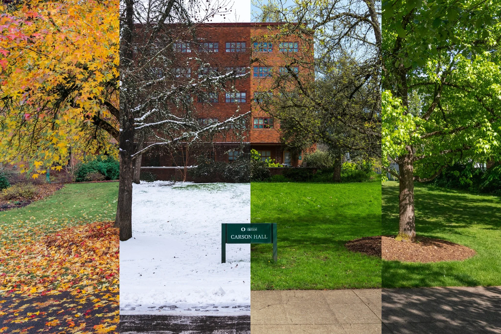 4 seasons on campus-003-2.jpg