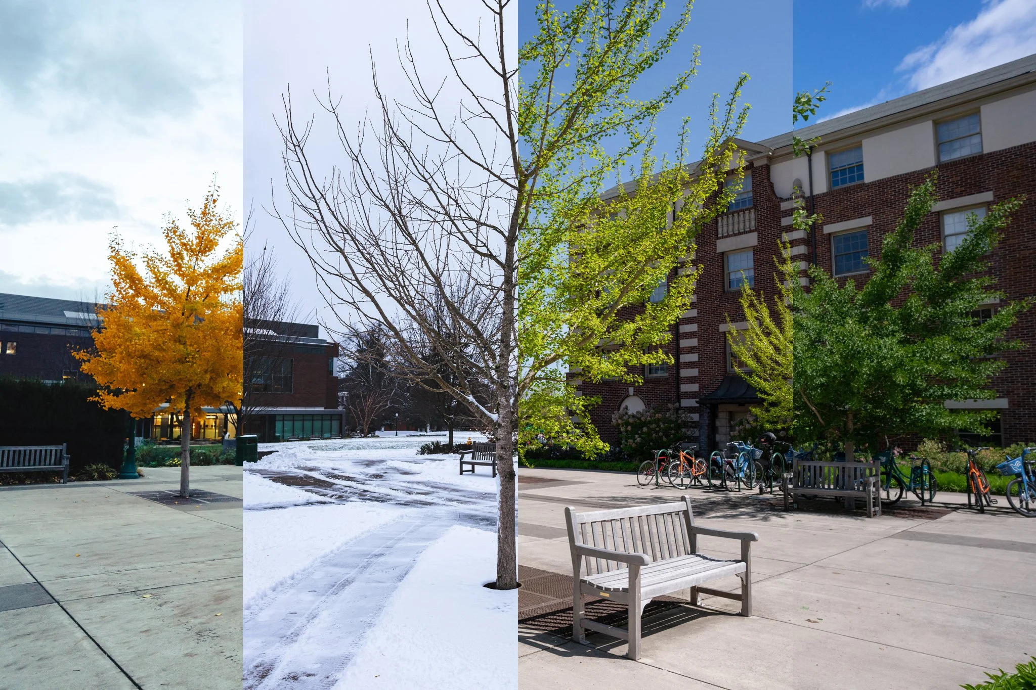 4 seasons on campus-004-2.jpg