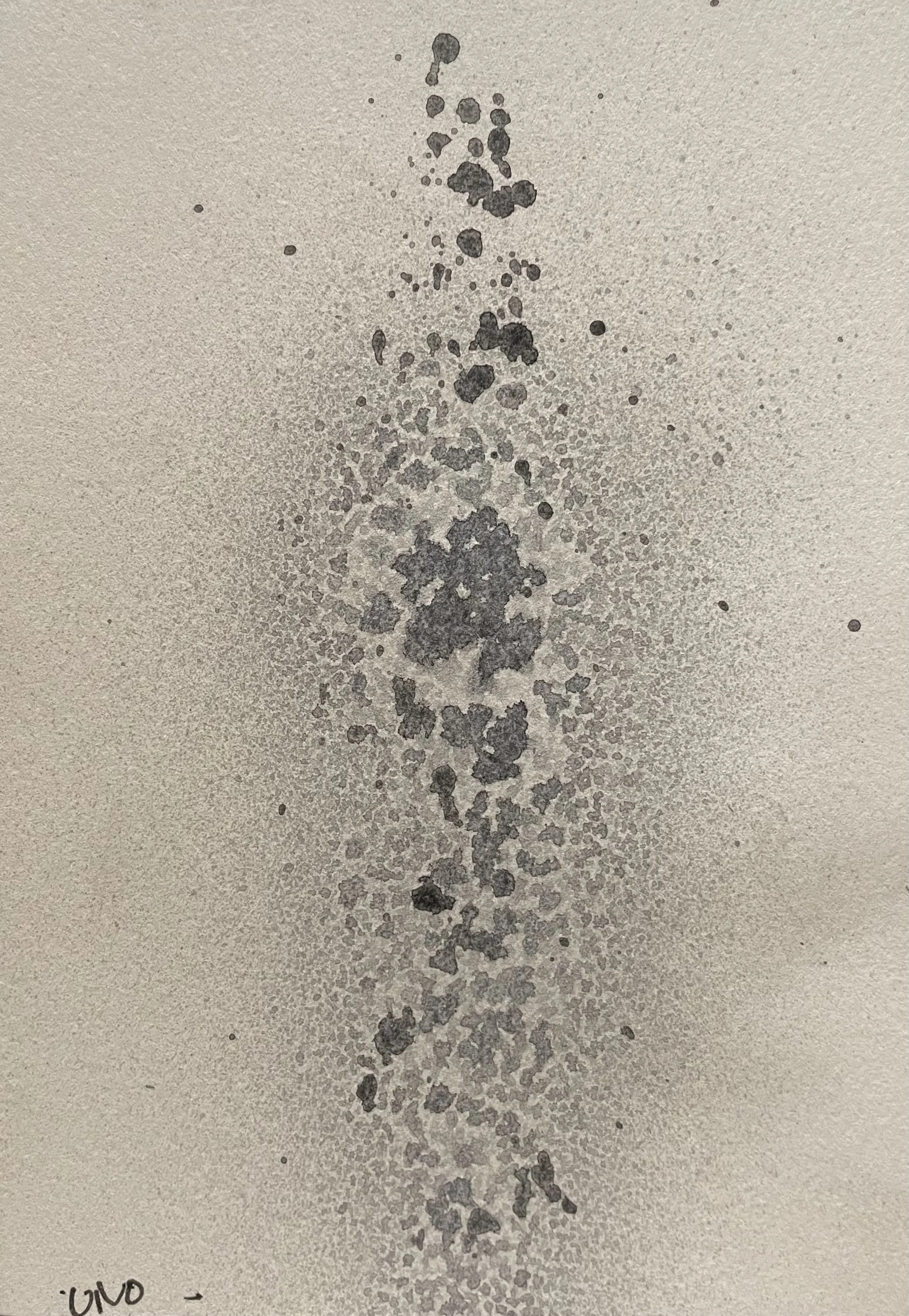 FullSizeRender_1 copy 4.jpg