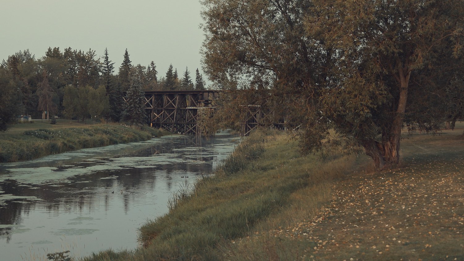 st. albert-2.jpg