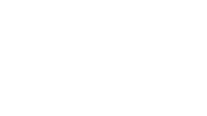 cip.png