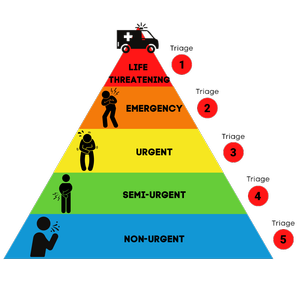 Visiting Us - Shorecare | Urgent Care Clinics Auckland — Services