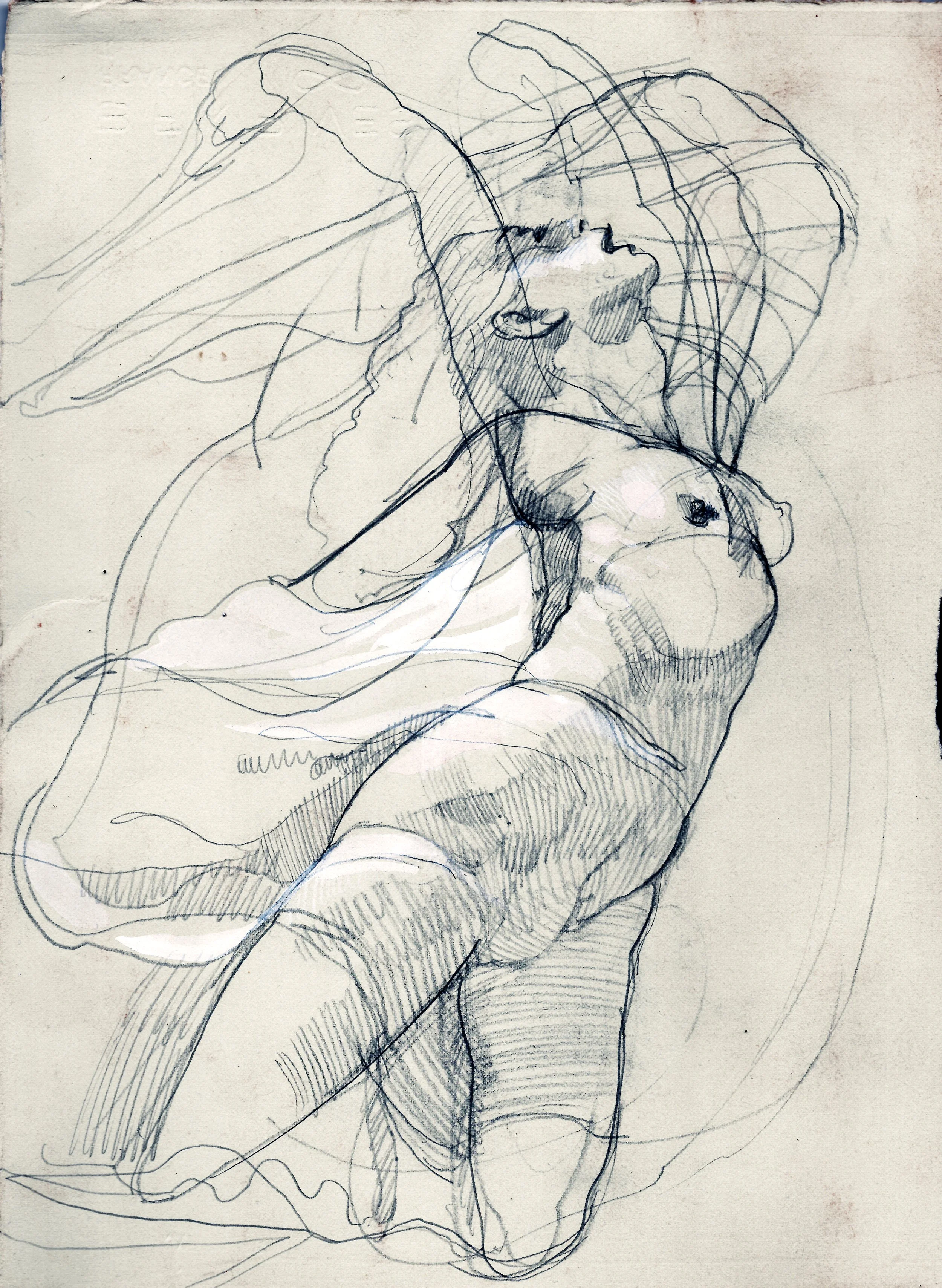 siren arm positions line.jpg