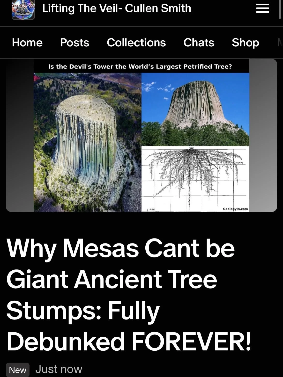 Brand new COMPLETE PRESENTATION pdf! 
This response fully and systematically debunks the claim that plateau mountains such as Devils Tower are petrified, silica-based giant trees cut down by ancient giant tartarian nephilims on satans flat earth. It 