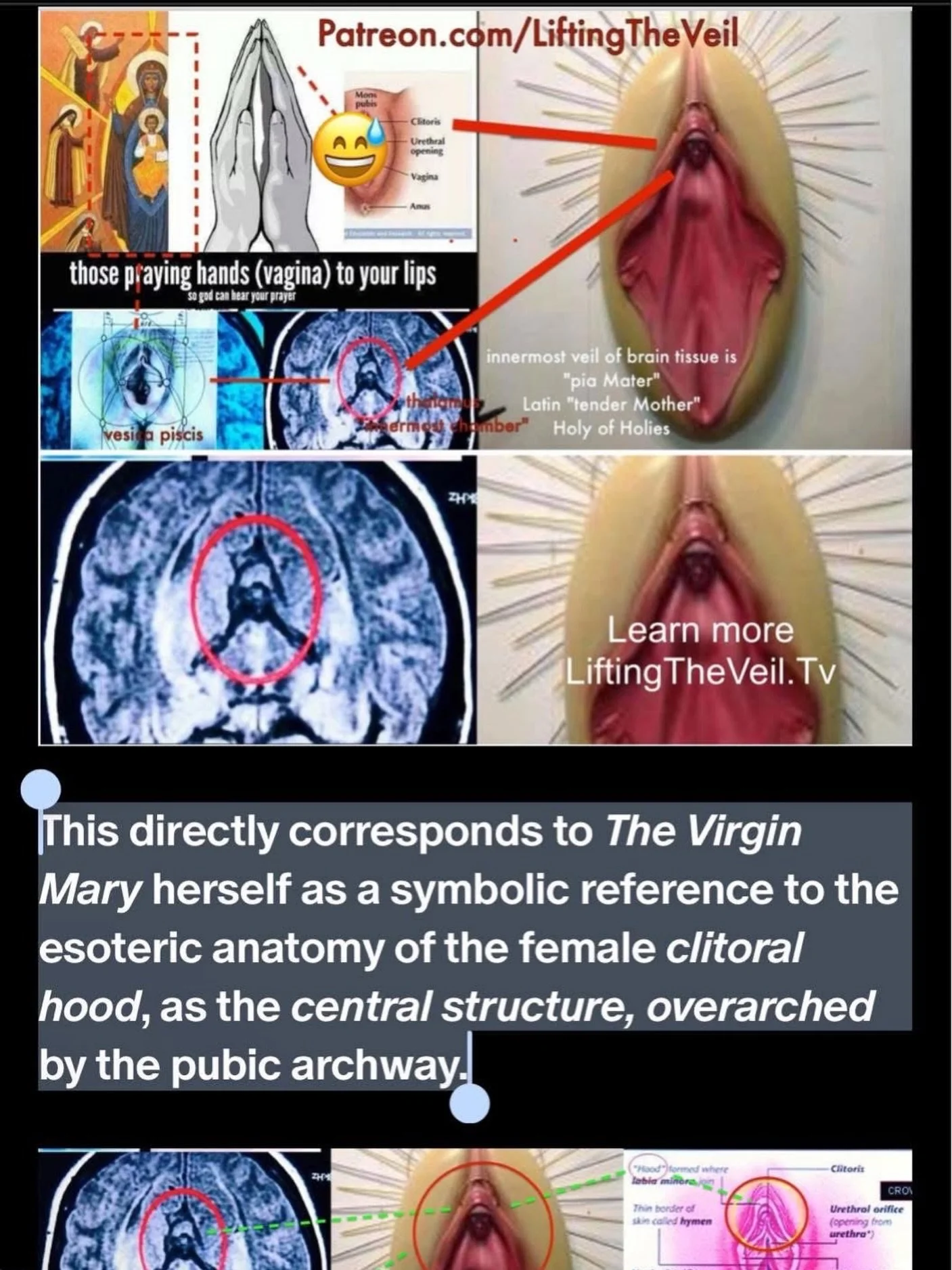 This is not only a matter of symbolic resemblance but also of anatomical homology, linguistic and etymological connections, and functional parallels.

It&rsquo;s not just bilateral symmetry between left and right side, but also If one were to fold th