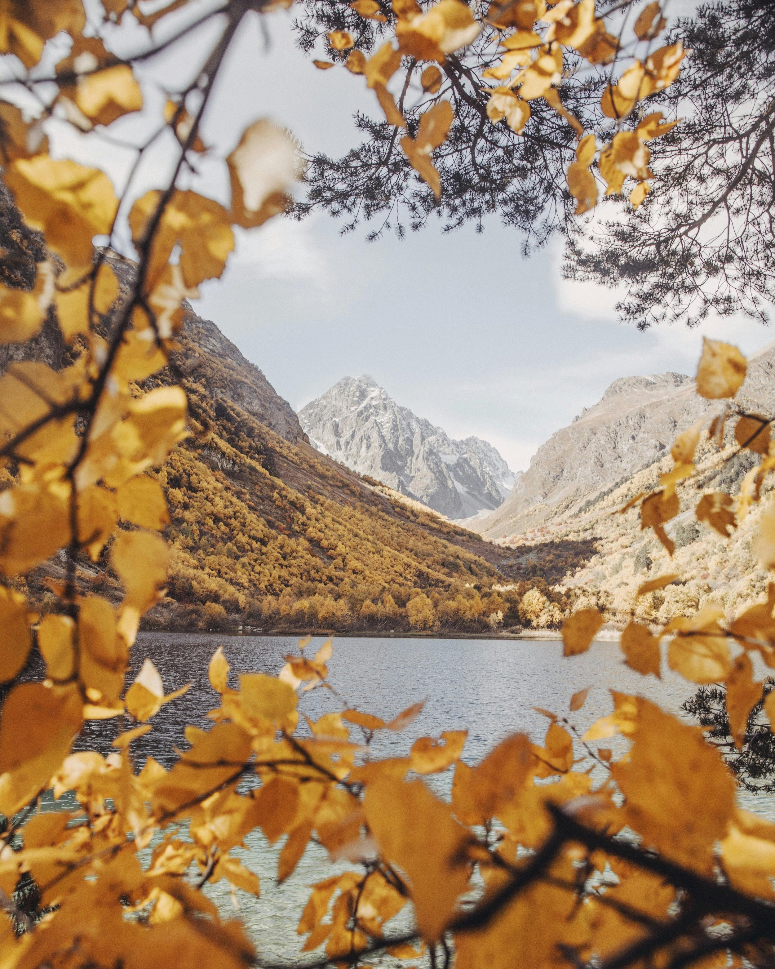 Mindfulness in Daily Life: Finding Depth in the Mundane