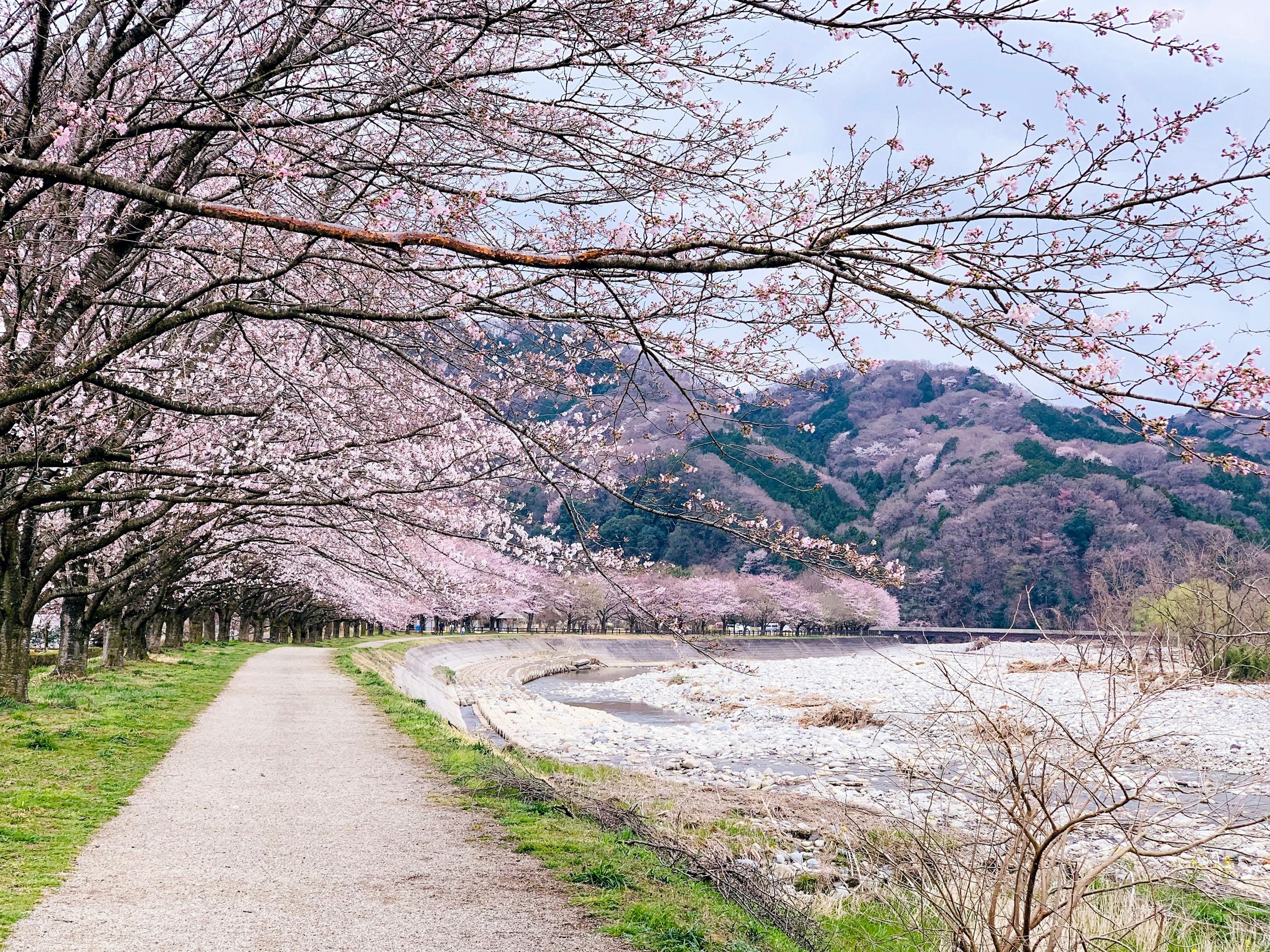 The Importance of Mindfulness When Treating Addiction
