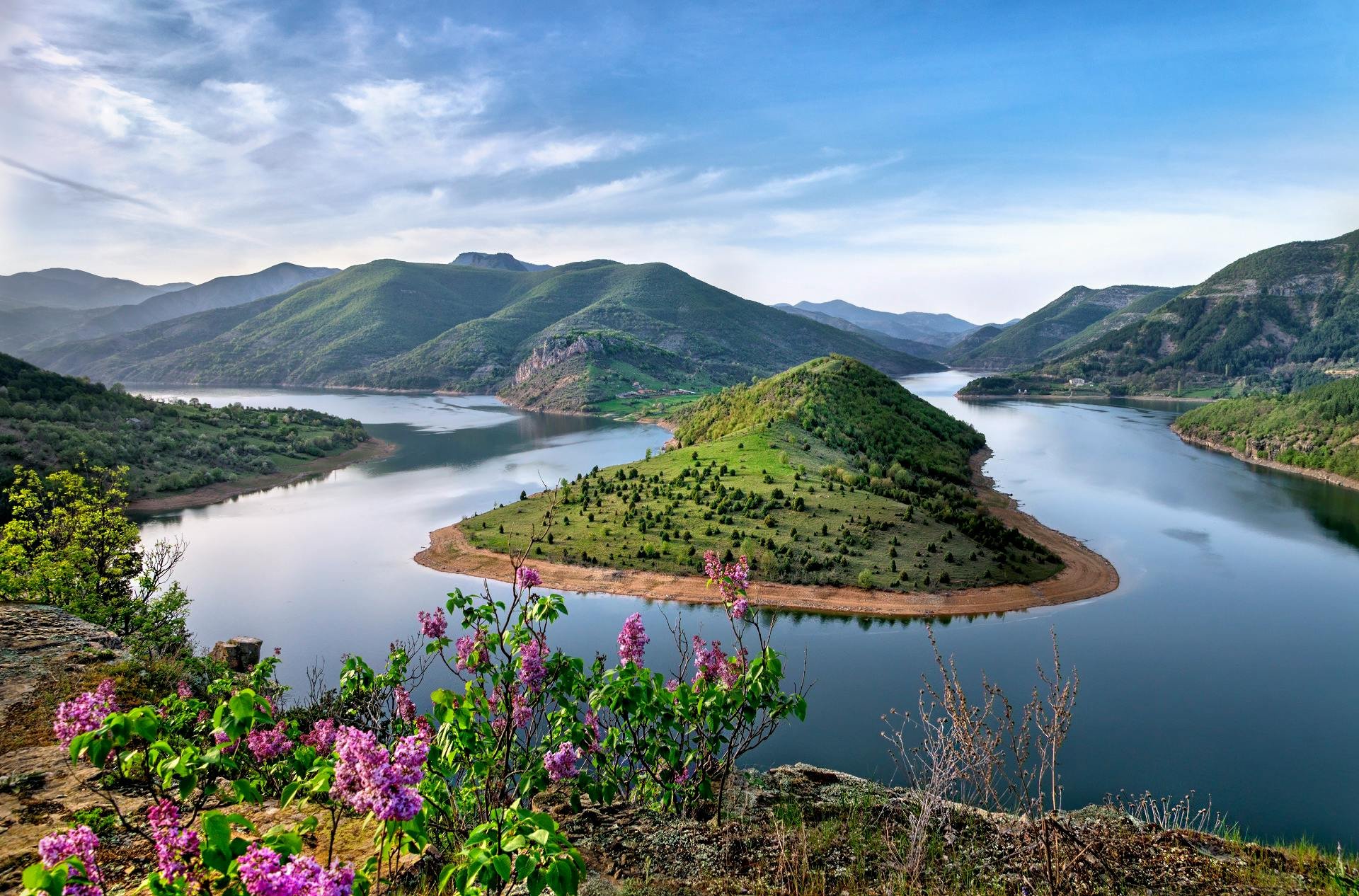 Healing Through Self-Forgiveness:Journey Towards Inner Renewal