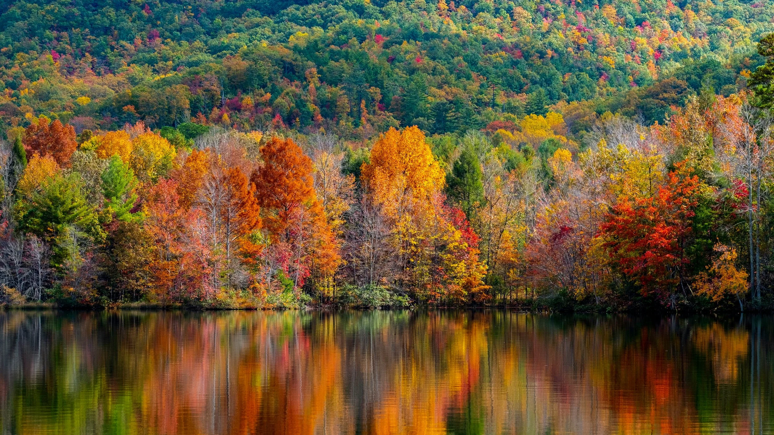 The Blind Spot of the Addicted Mind: Breaking Through Denial and Finding Healing