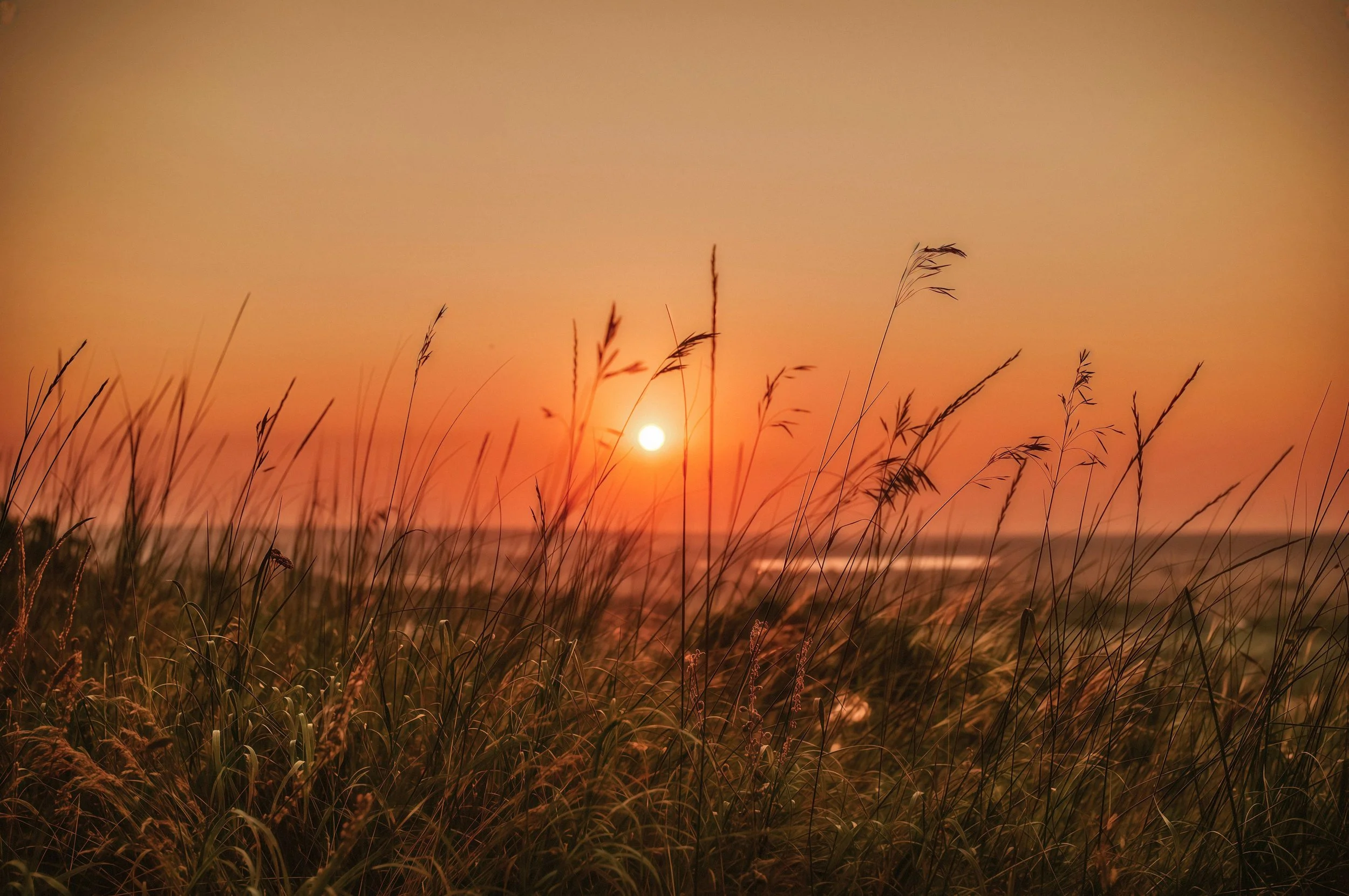 sunrise over beach sowing orange sky