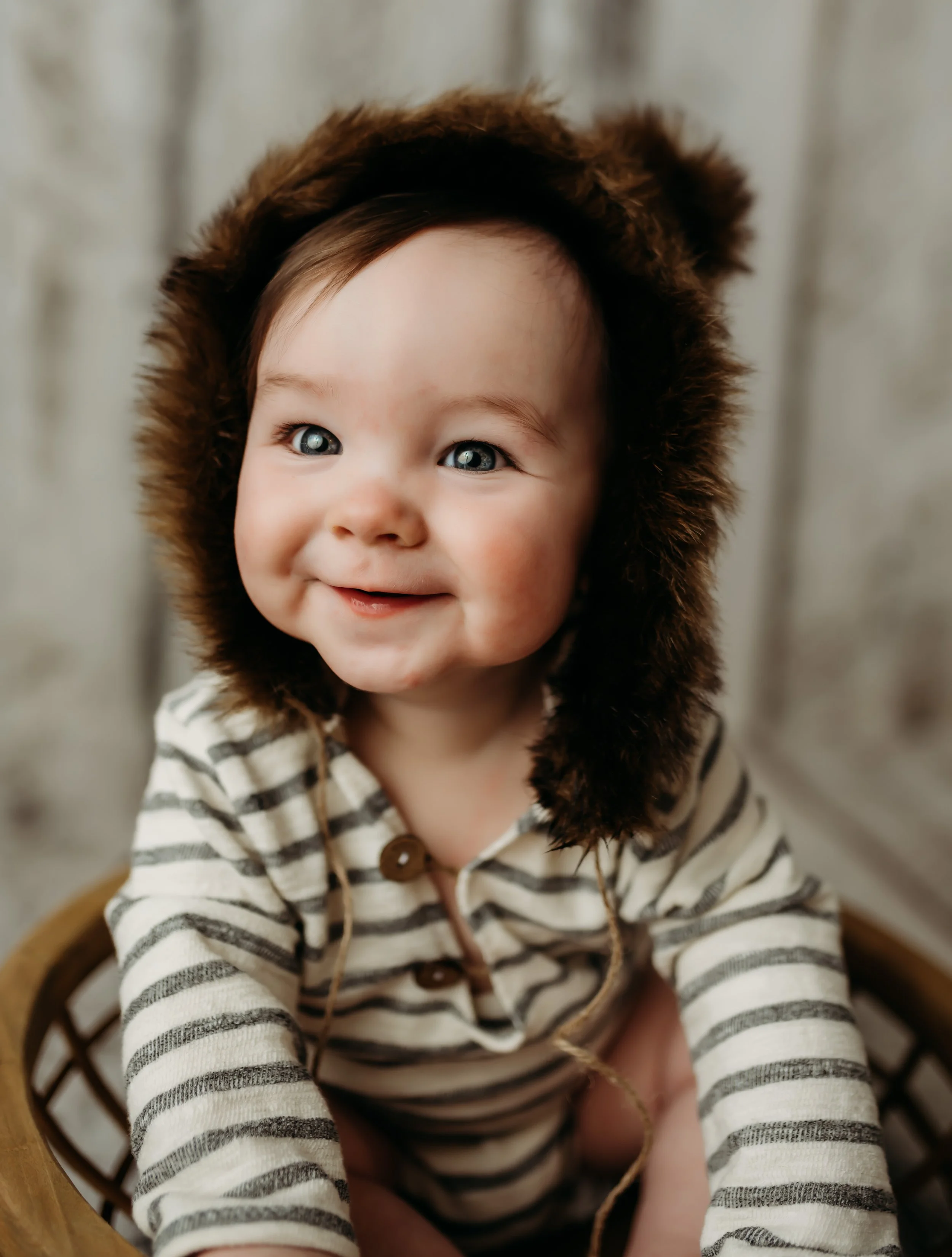 sitter session in tontitown studio with milestone photographer tonia hanson photography