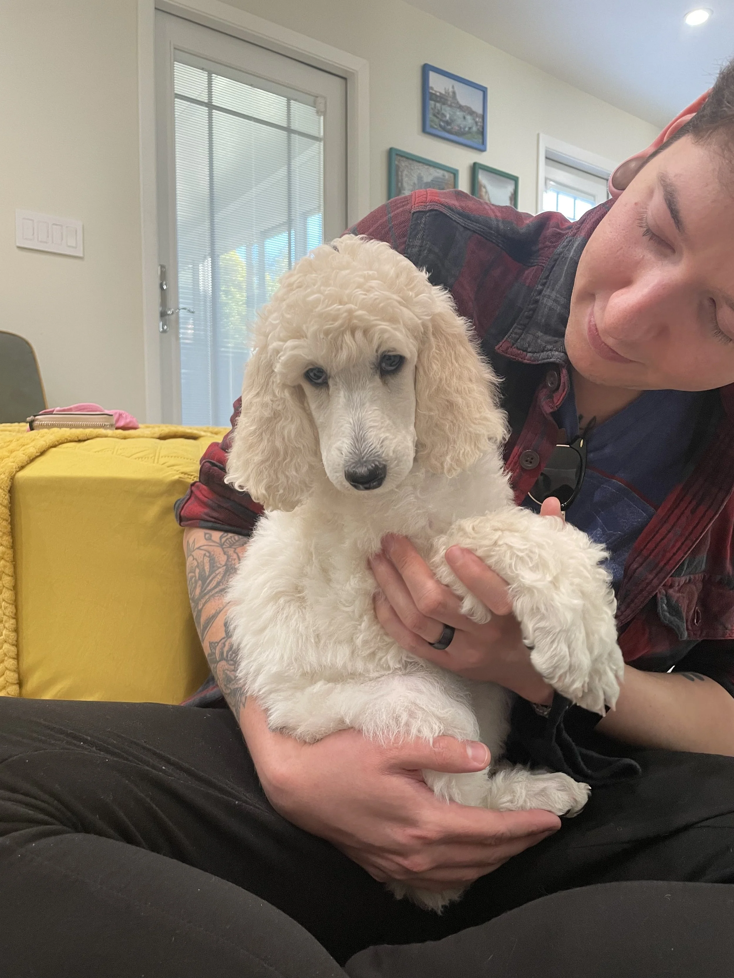Person holding a fluffy white puppy indoors.