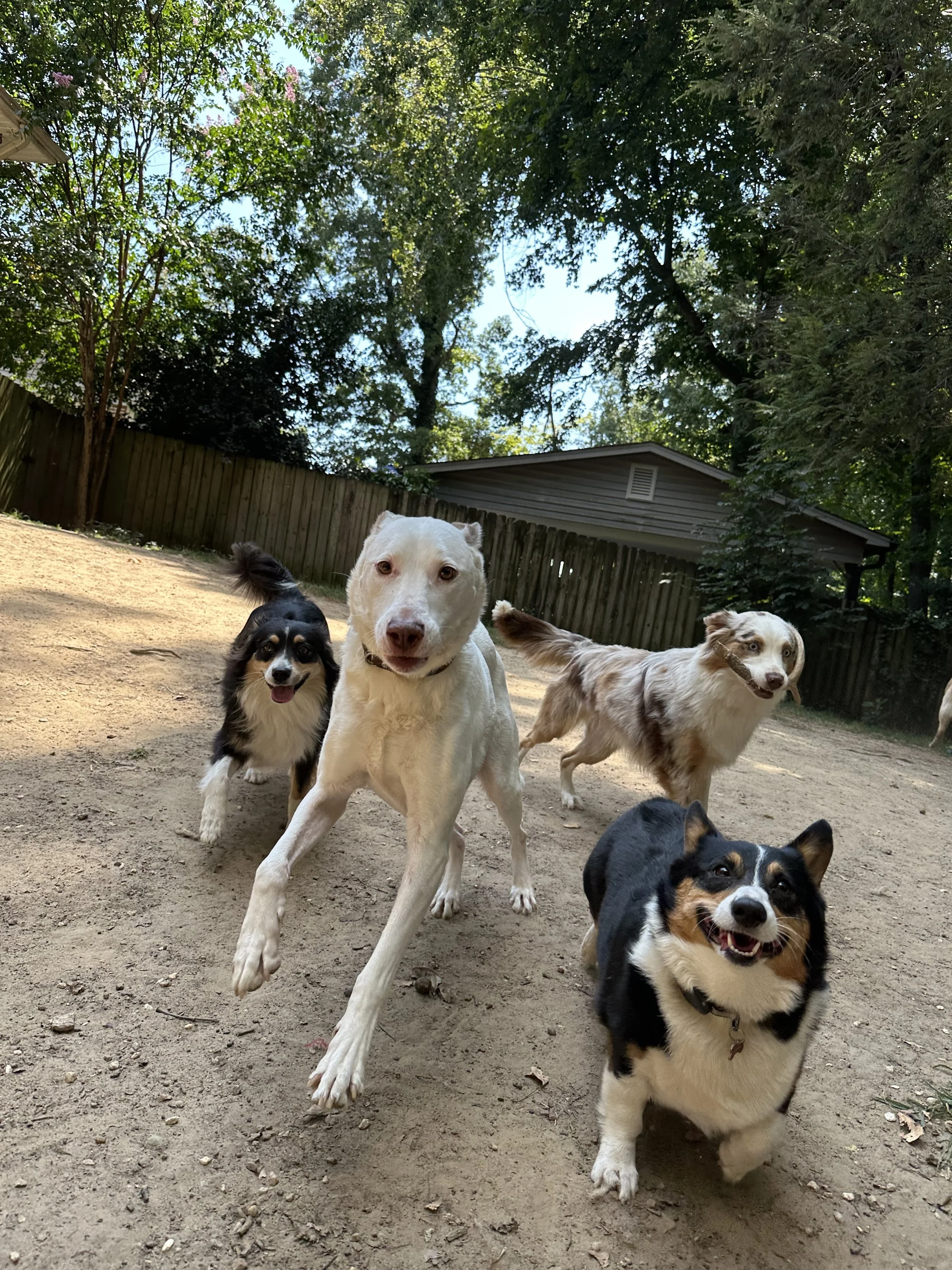 2 Week Hybrid Program