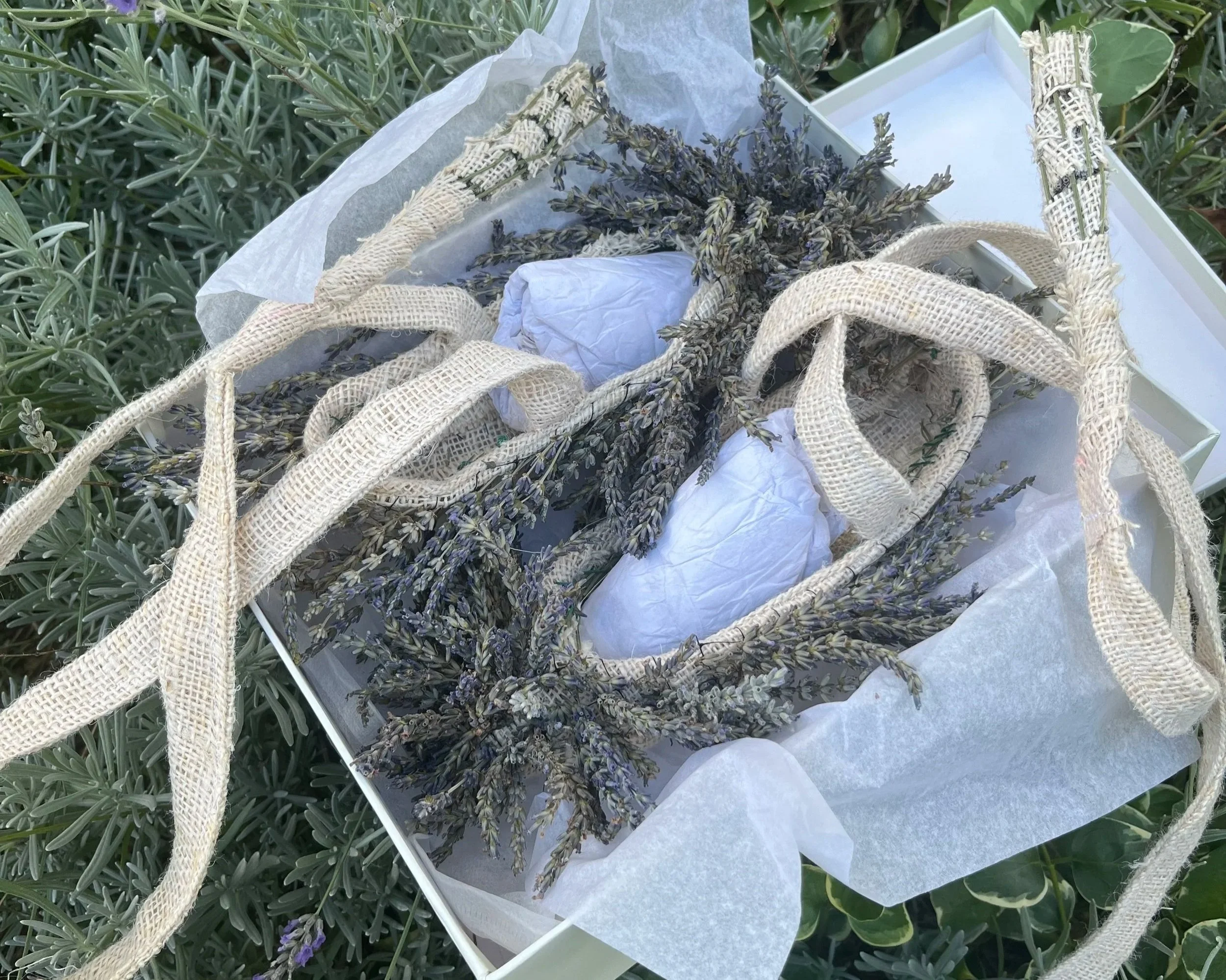 Lavender Shoes, or “And then I was well again and the hedgehog invited me to the ball..."