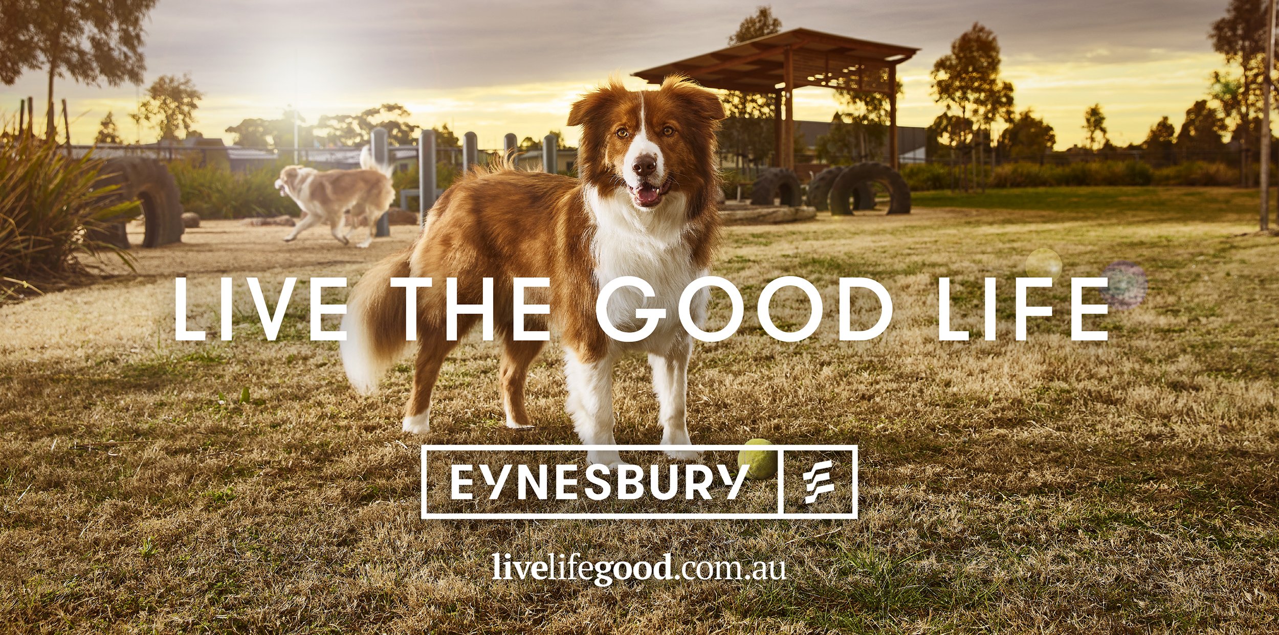 EYN0121_EY Campaign24_Concepts_V3-3.jpg