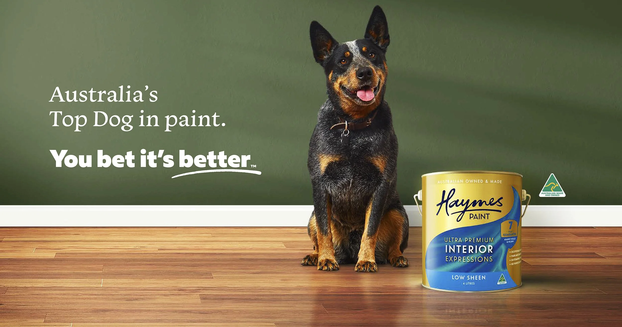 Haymes Paint