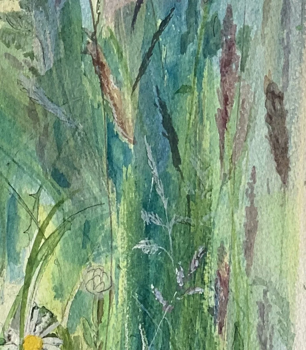 Rickardo's meadow.jpg