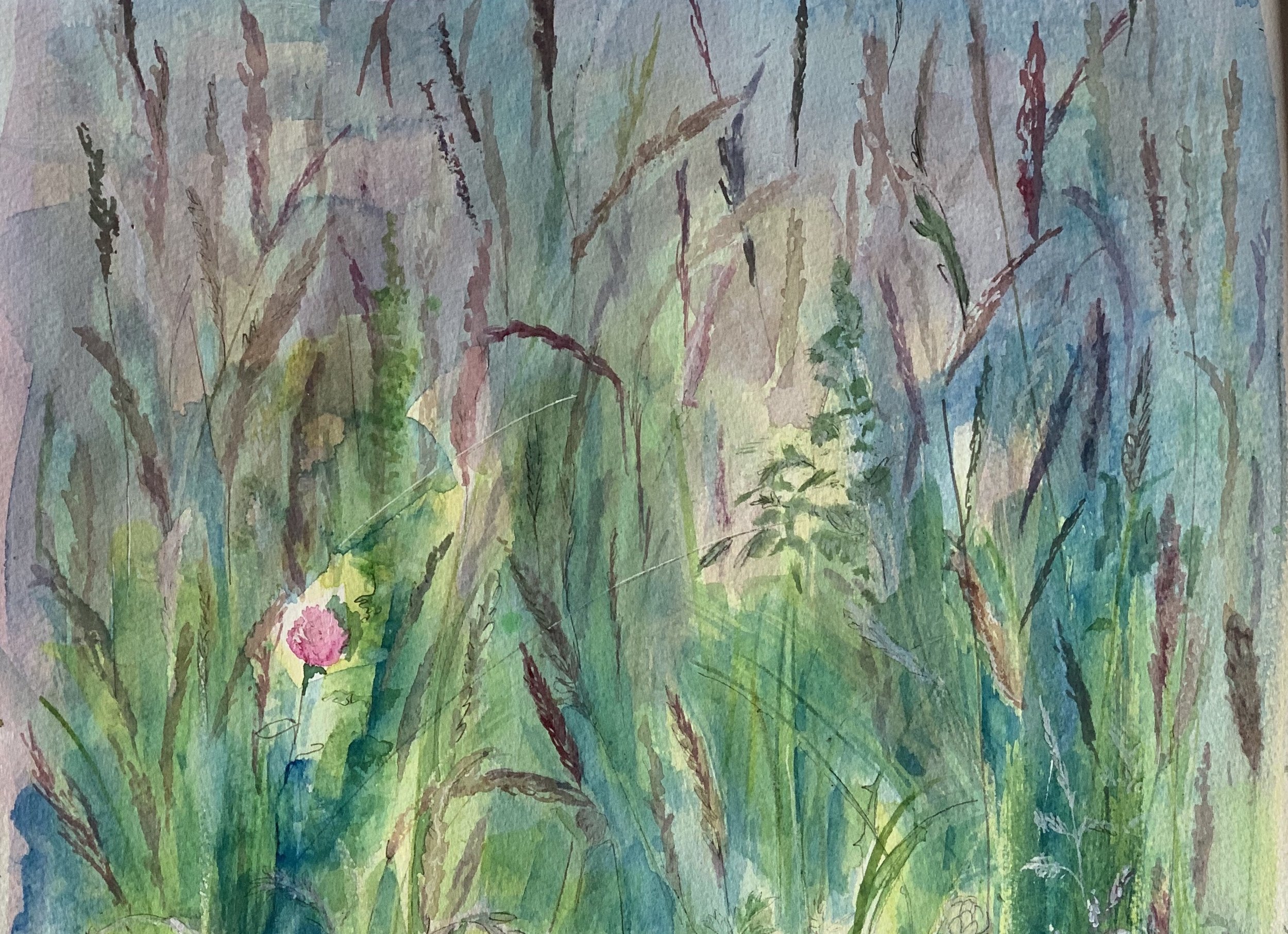 Rickardo's meadow copy.jpg