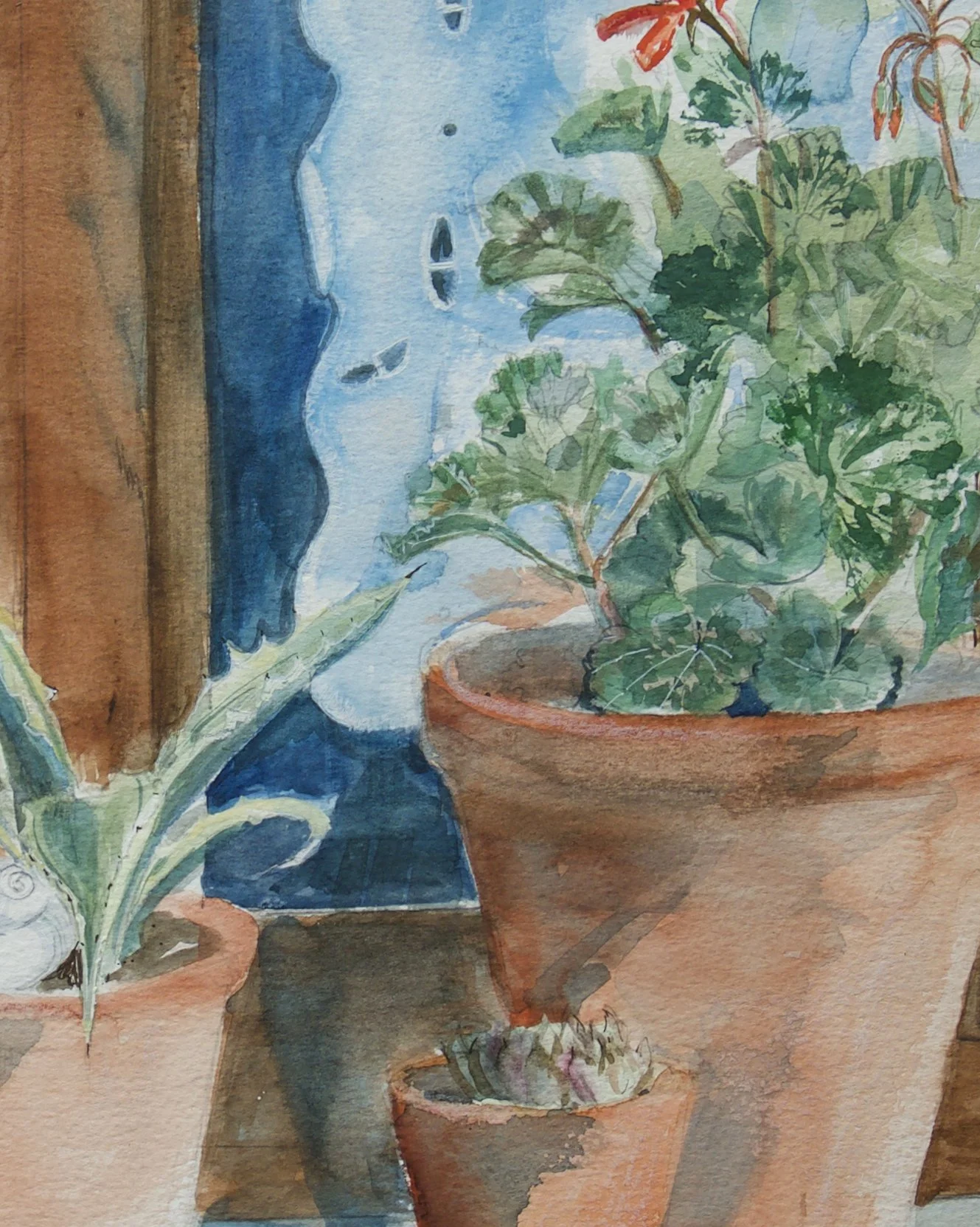 Red Geranium copy.jpeg