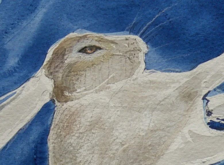 MountainHares Full Moon 2.jpg