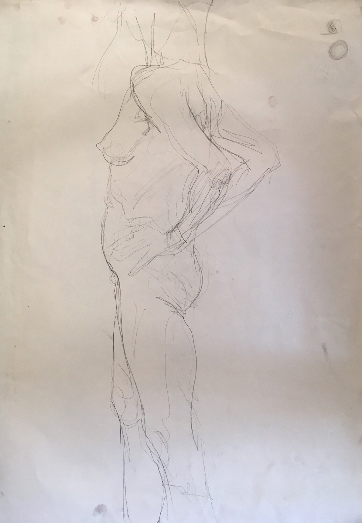 Sketch of Bunny