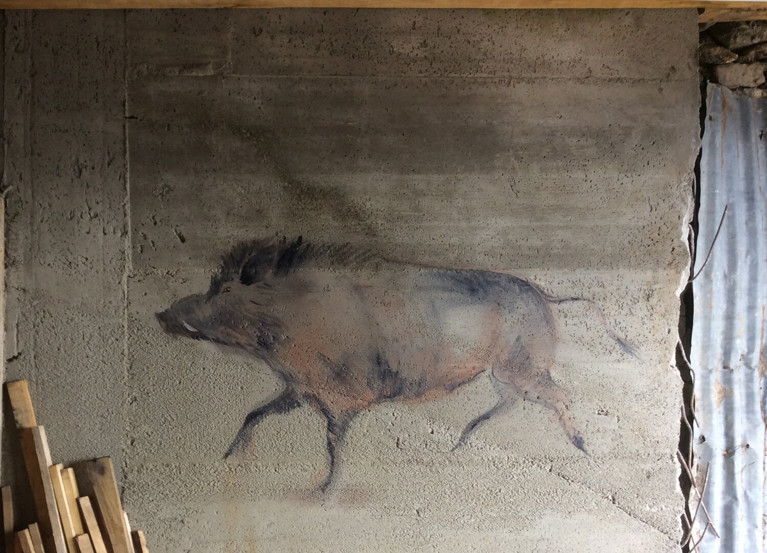 Cinghiale