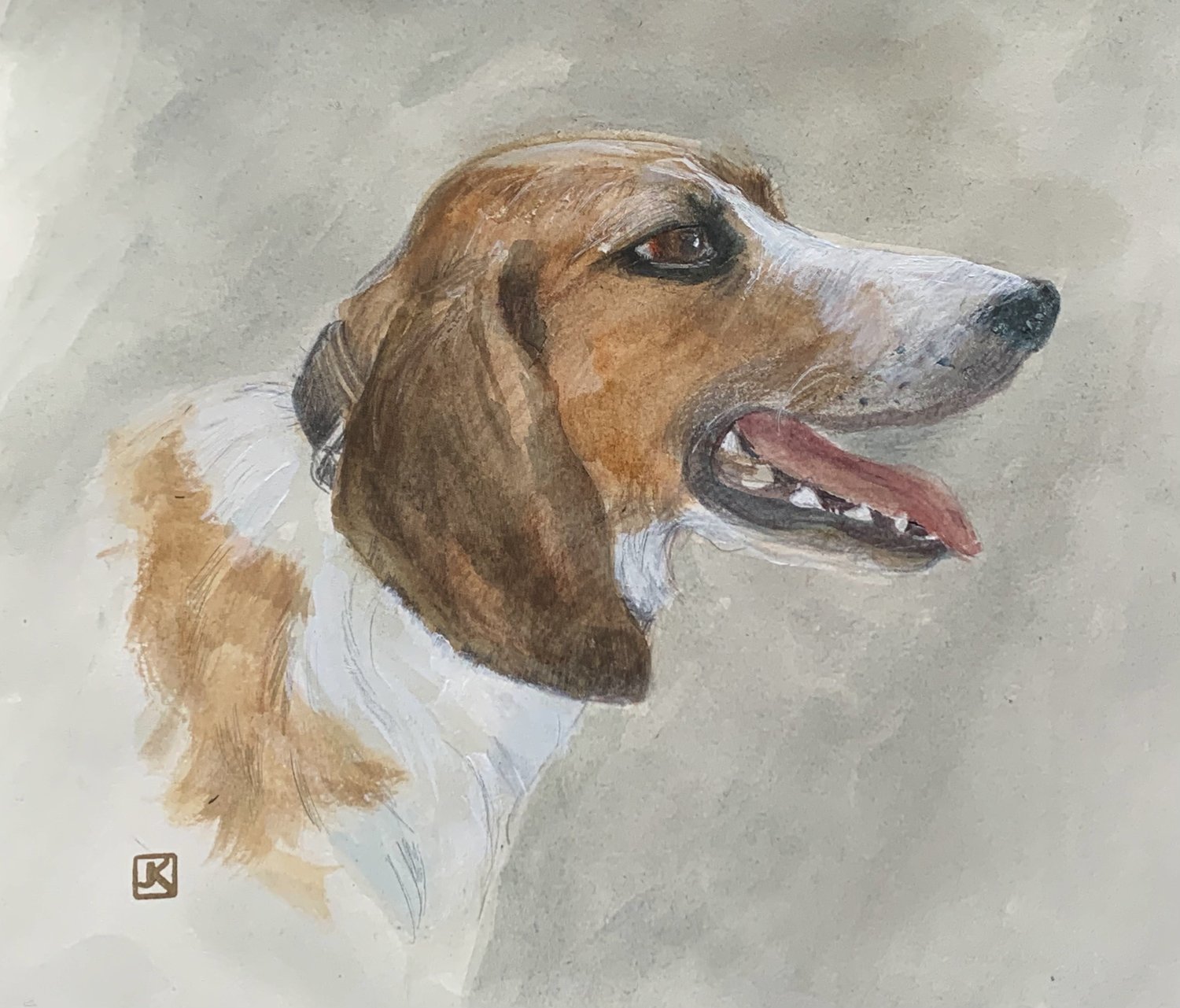 Argo the Dentist’s Dog